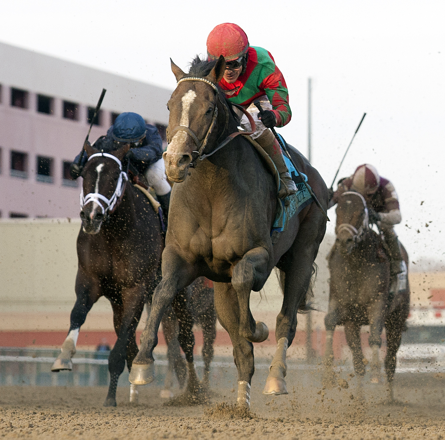 Flat Out, Cigar Mile
