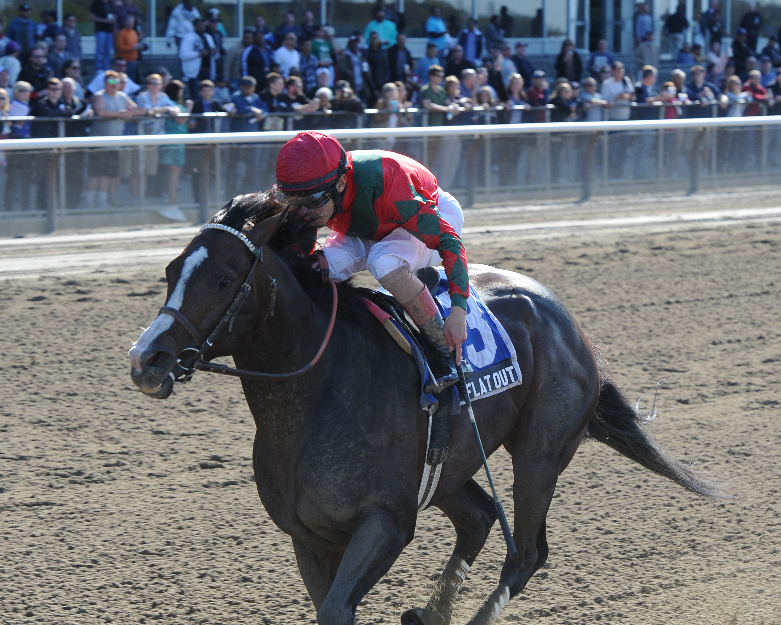 Flat Out, Westchester Stakes