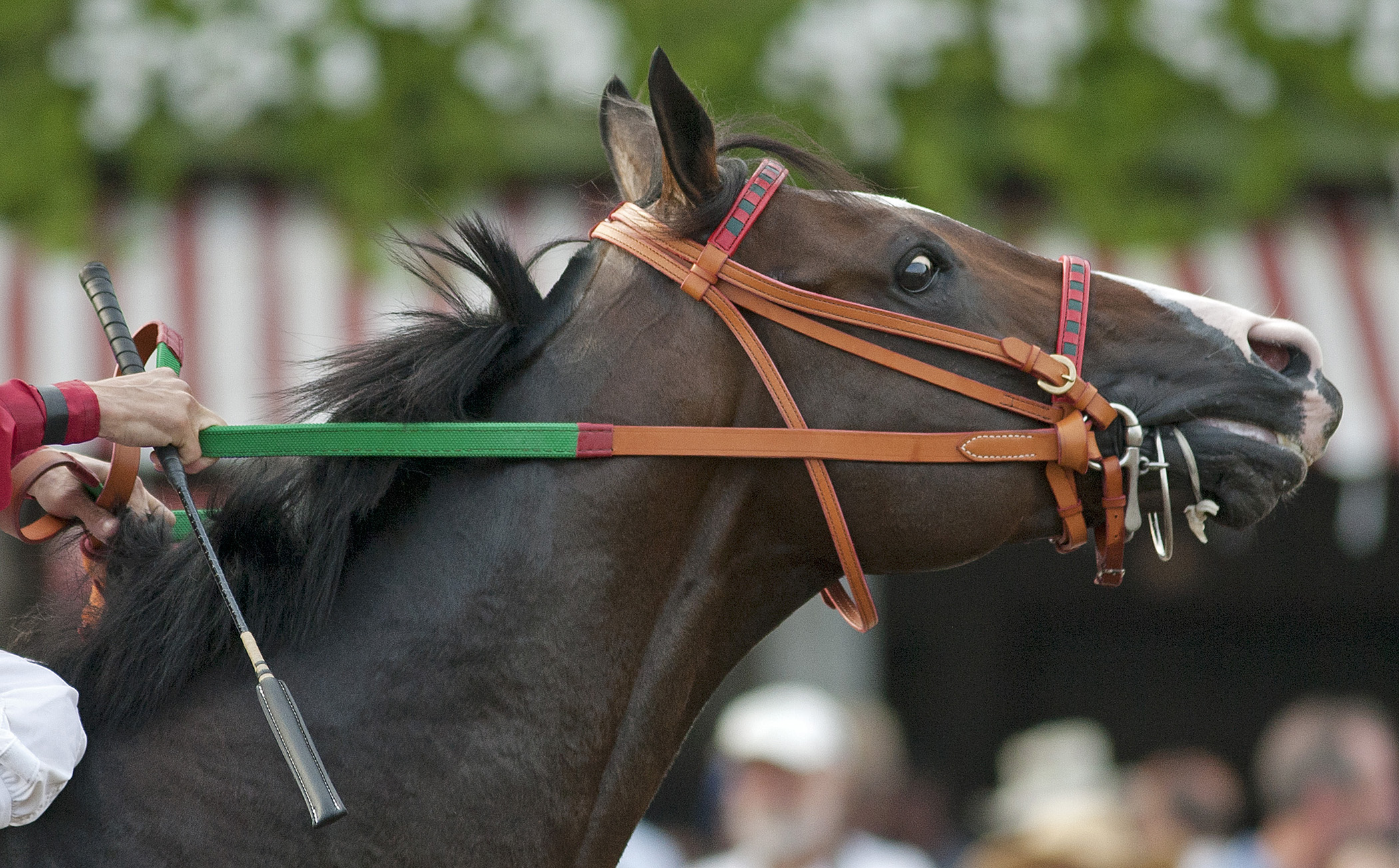 Flat Out, Sept. 3, 2011