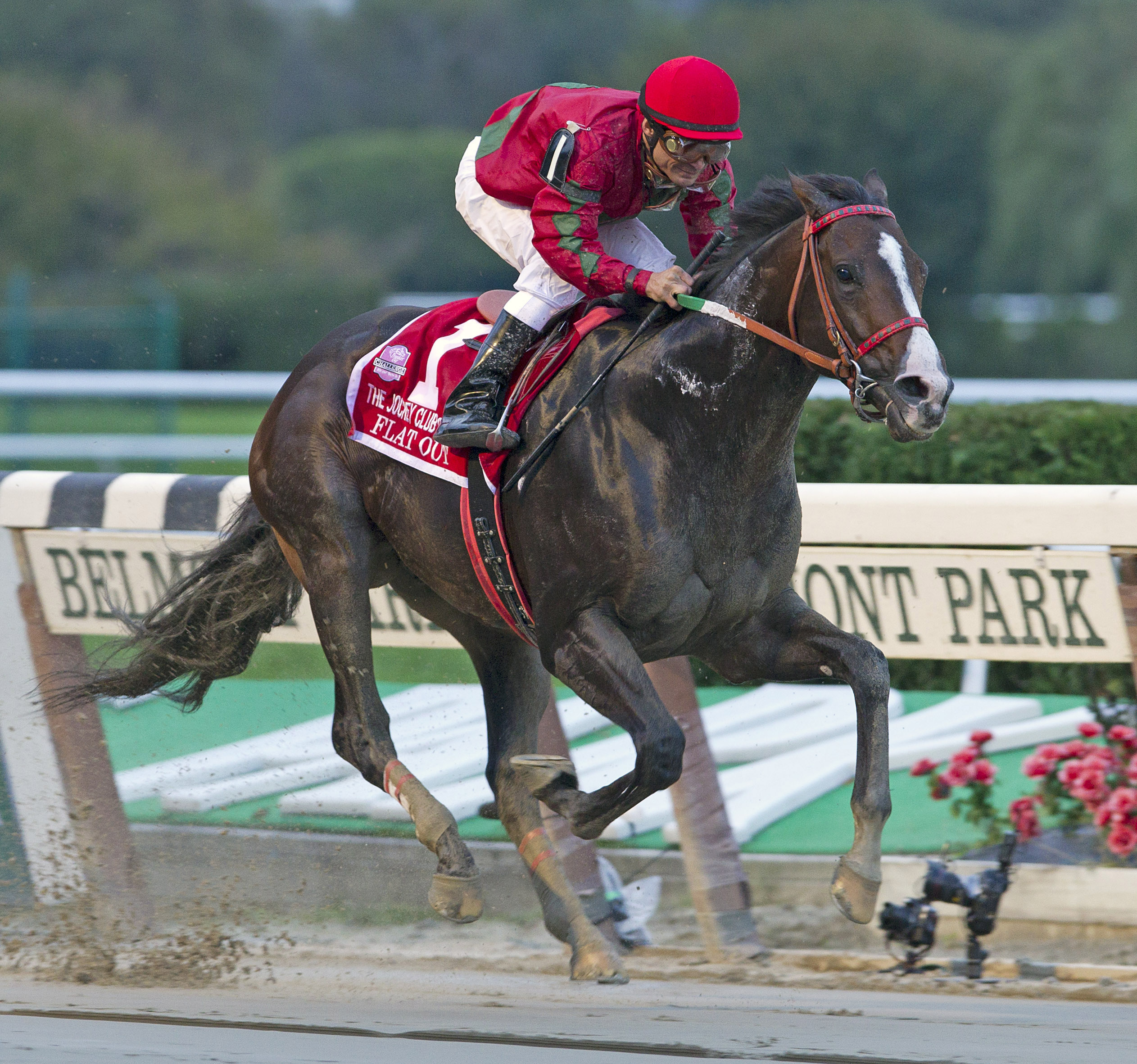 Flat Out/Jockey Club Gold Cup