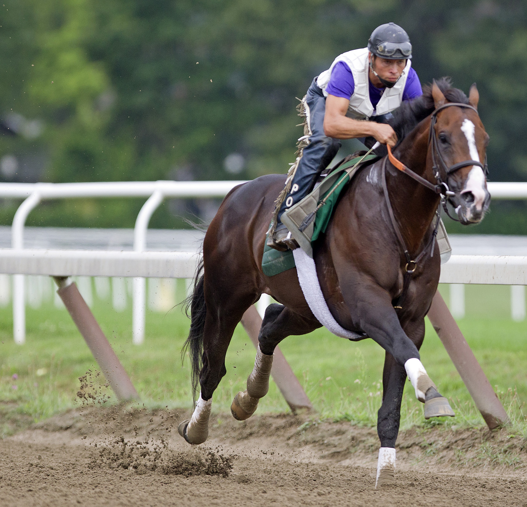 Weekend Warrior for Aug. 4: Flat Out the pick in Whitney