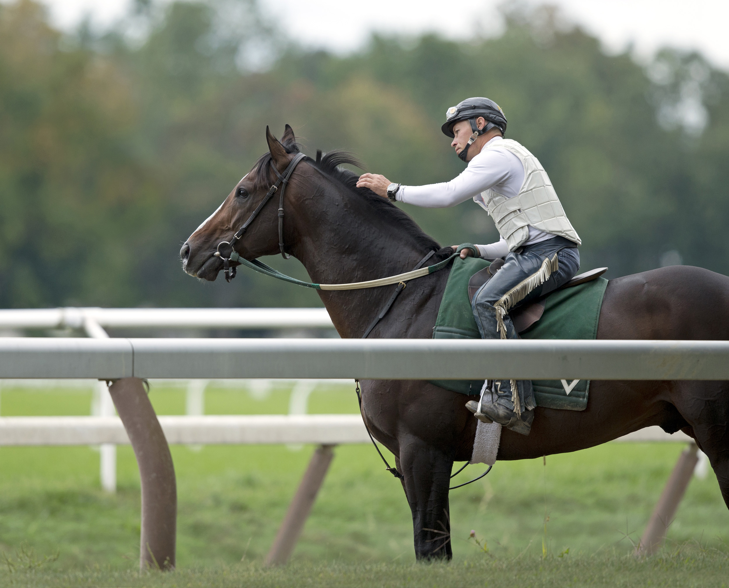 Flat Out at Saratoga