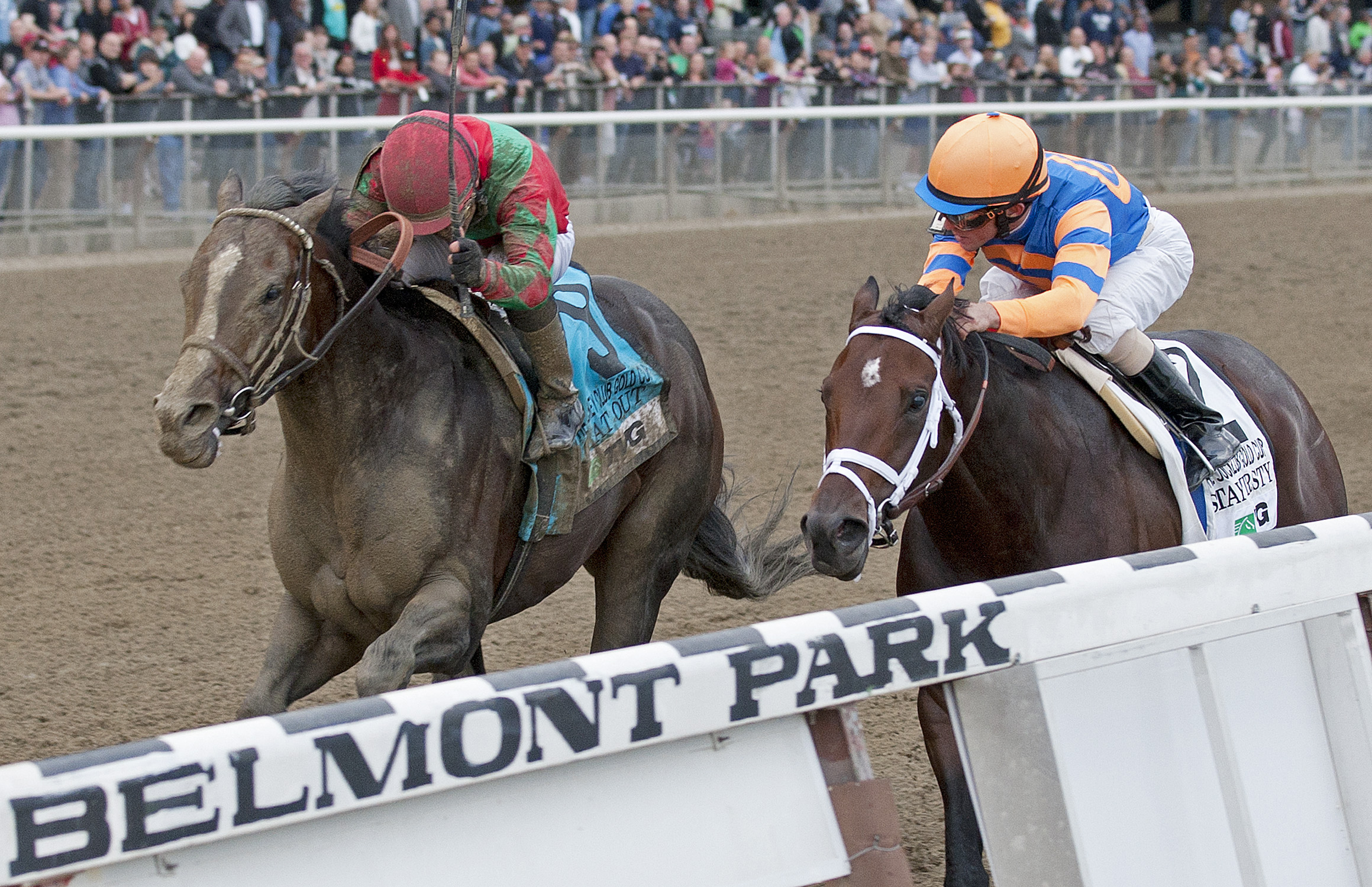 Flat Out/Jockey Club Gold Cup