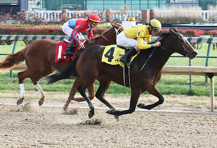 Flat Awesome Jenny (No. 4) wins a 2018 maiden race at Churchill Downs
