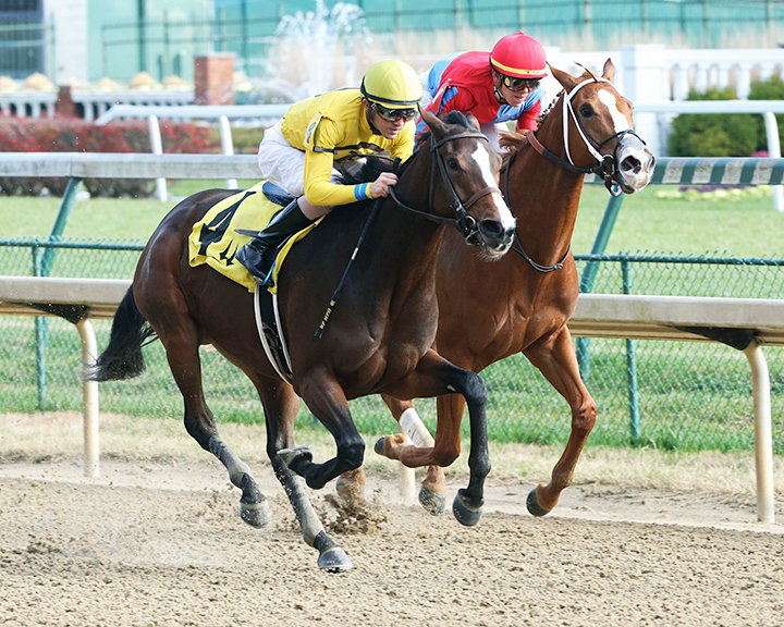 Flat Awesome Jenny (No. 4) wins a 2018 maiden race at Churchill Downs