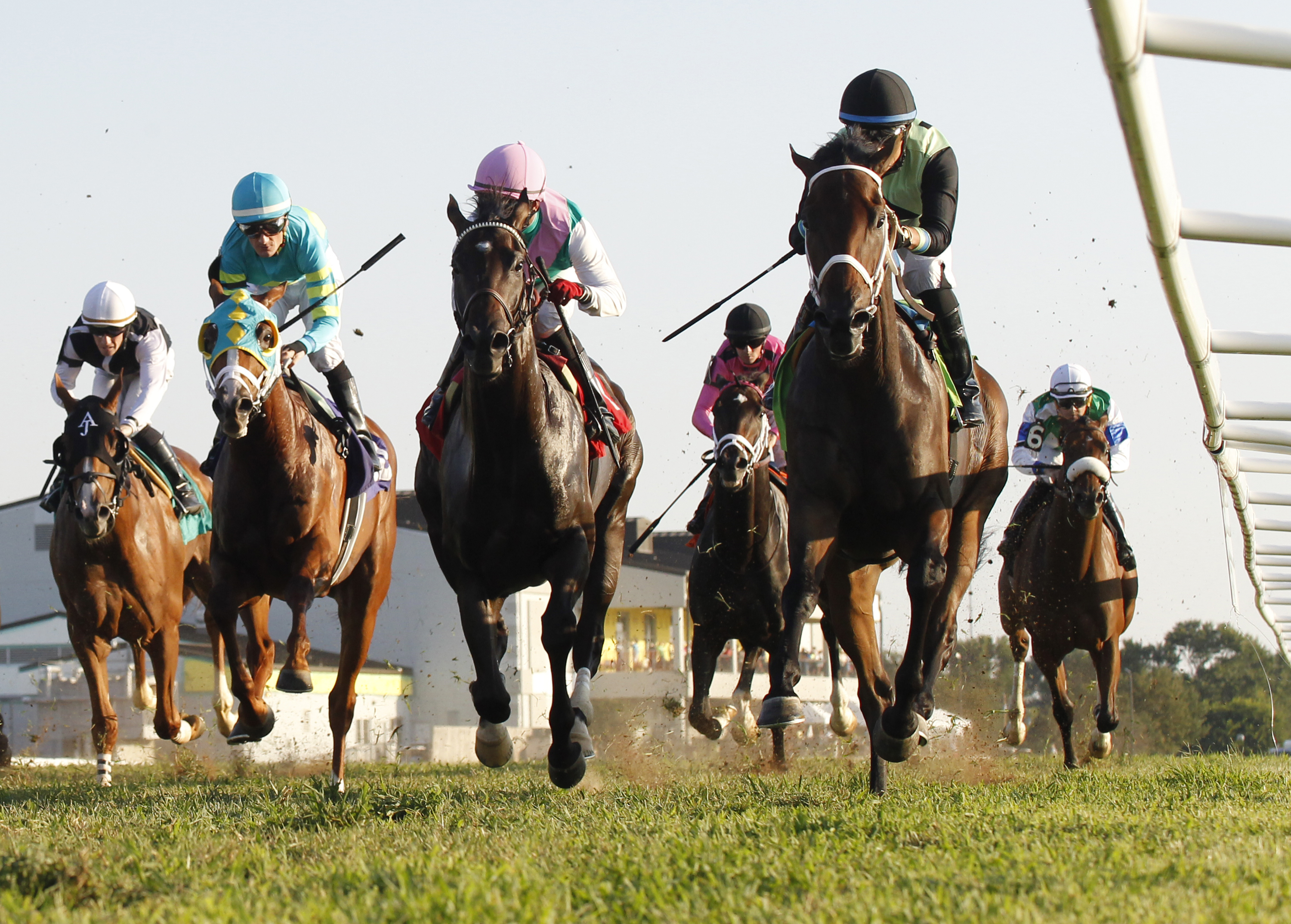 Flatlined wins the Old Friends Stakes
