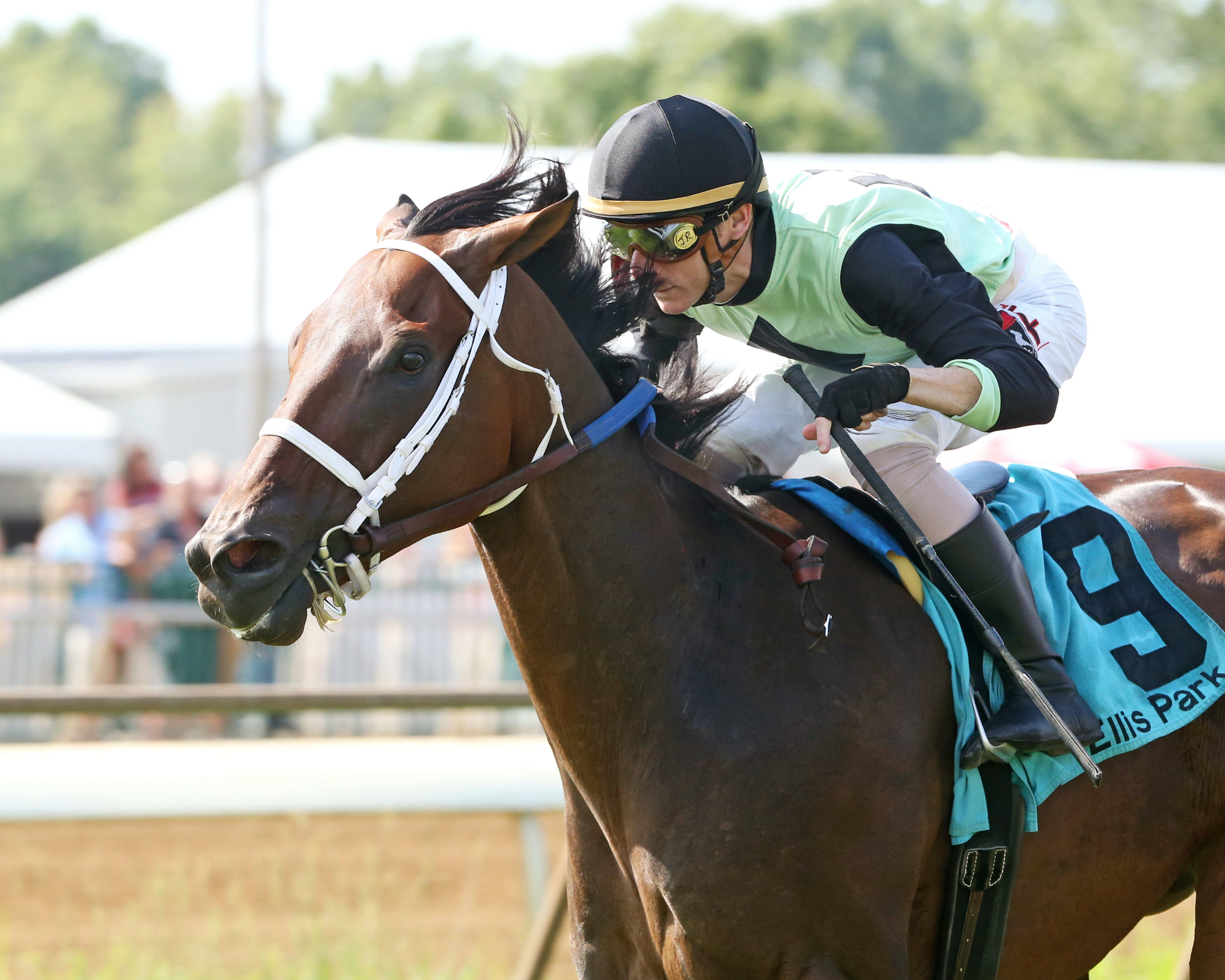 Flatlined wins the 2017 Cliff Guilliams Handicap