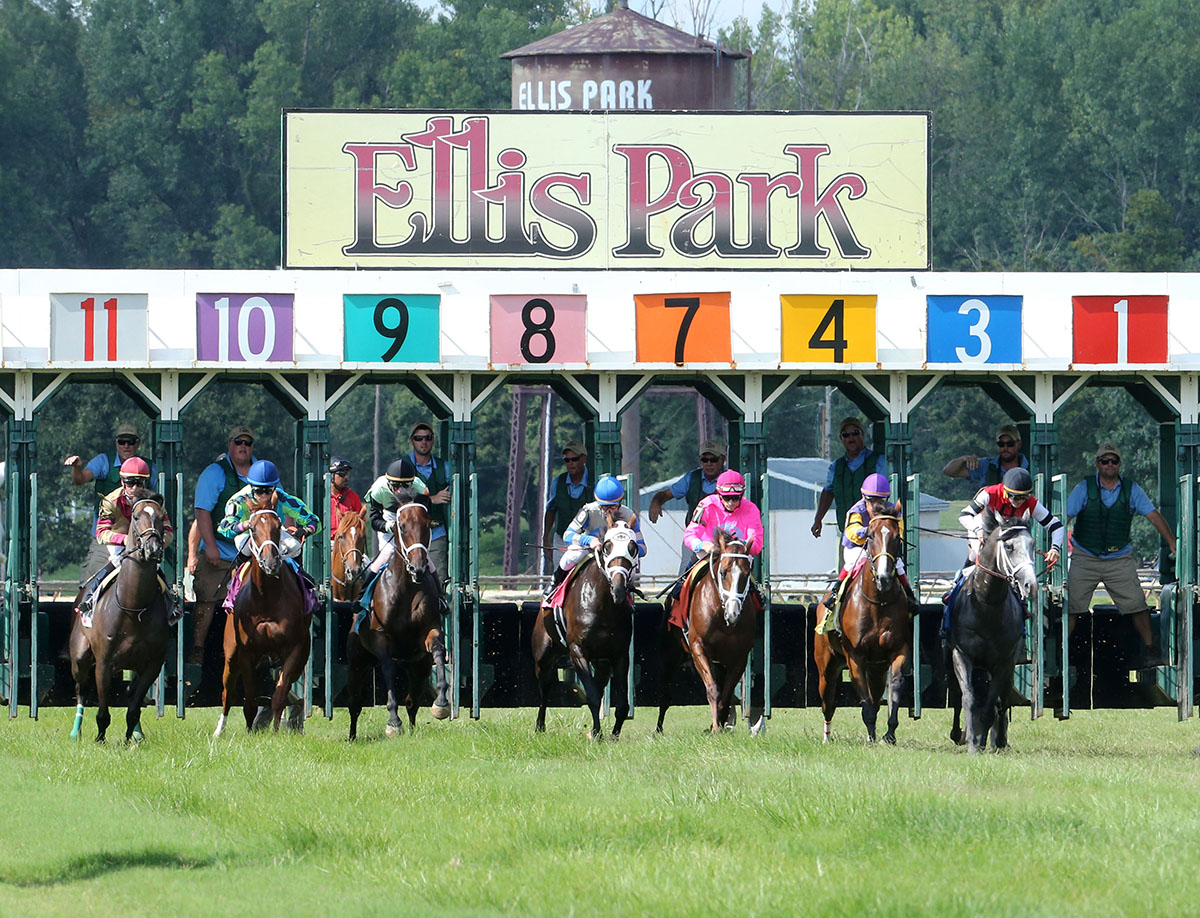 Turf racing at Ellis Park 2017