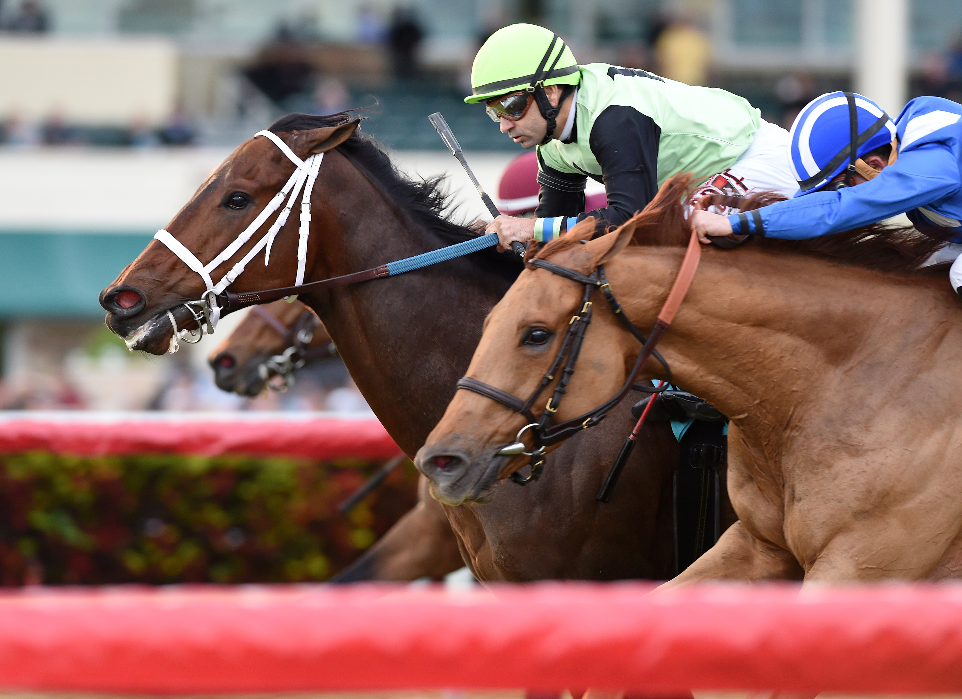 Flatlined wins the Fort Lauderdale Stakes