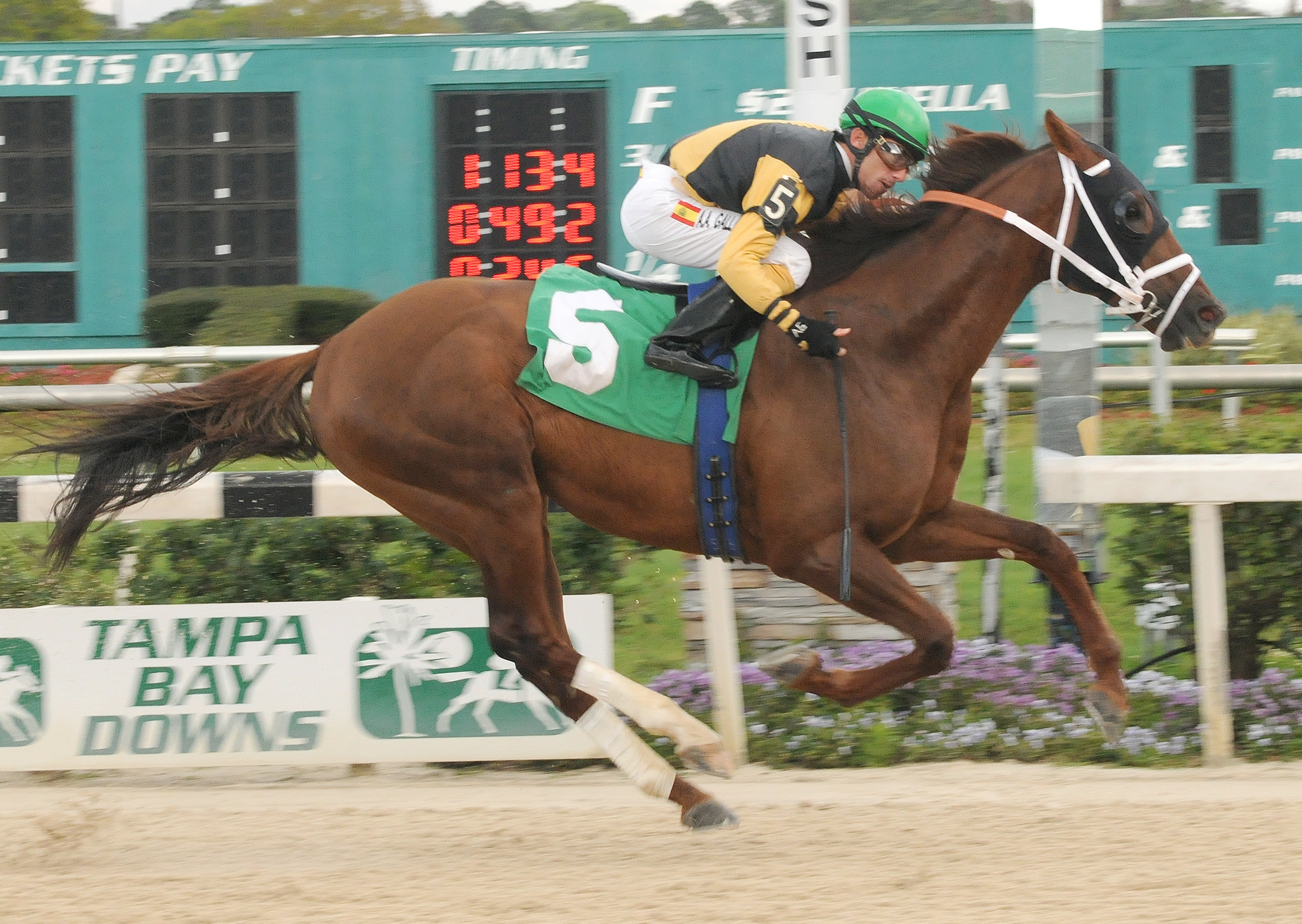 Flatter This/Challenger