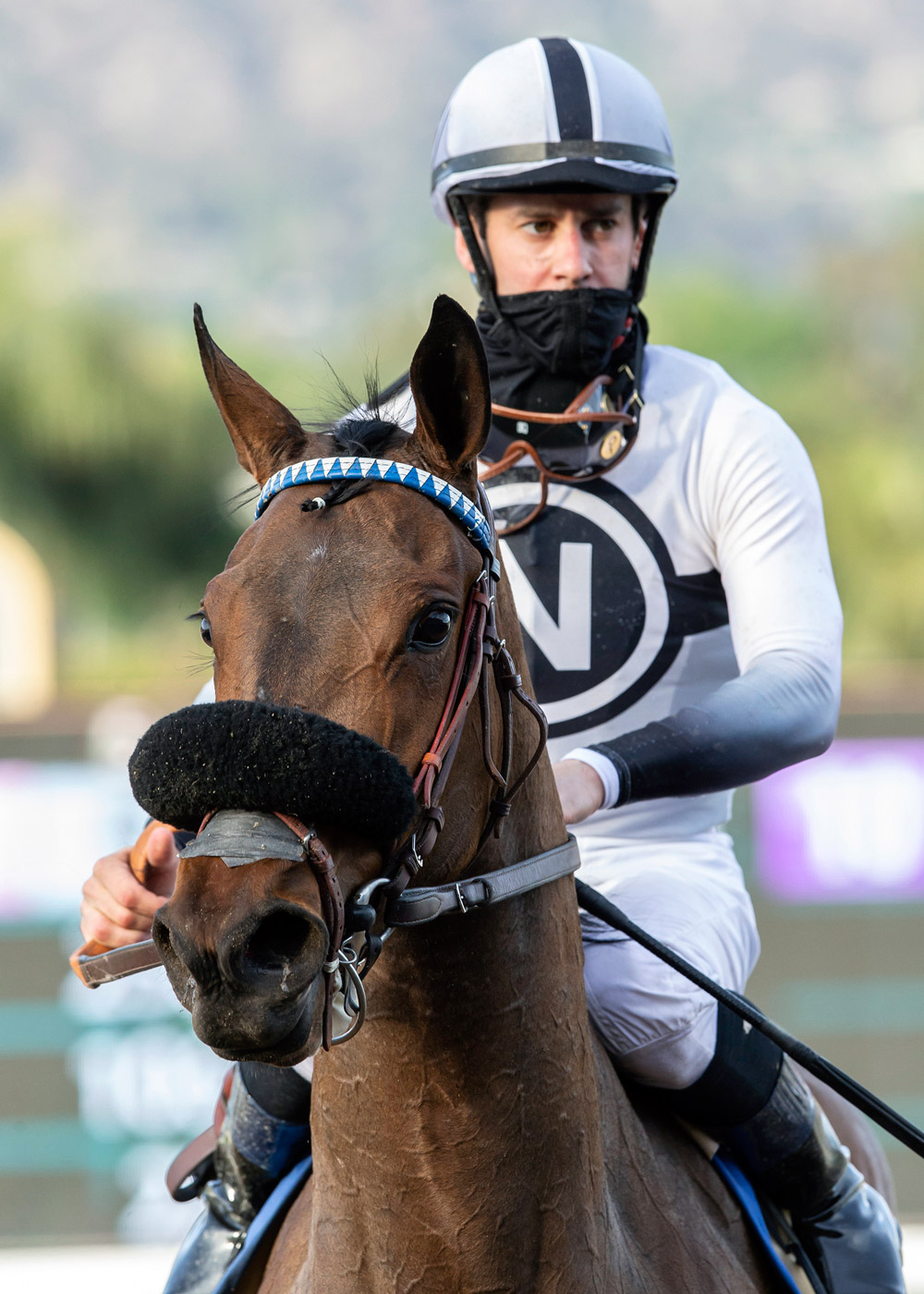 Flavien Prat with Going Global at the Sweet Life Stakes at Santa Anita