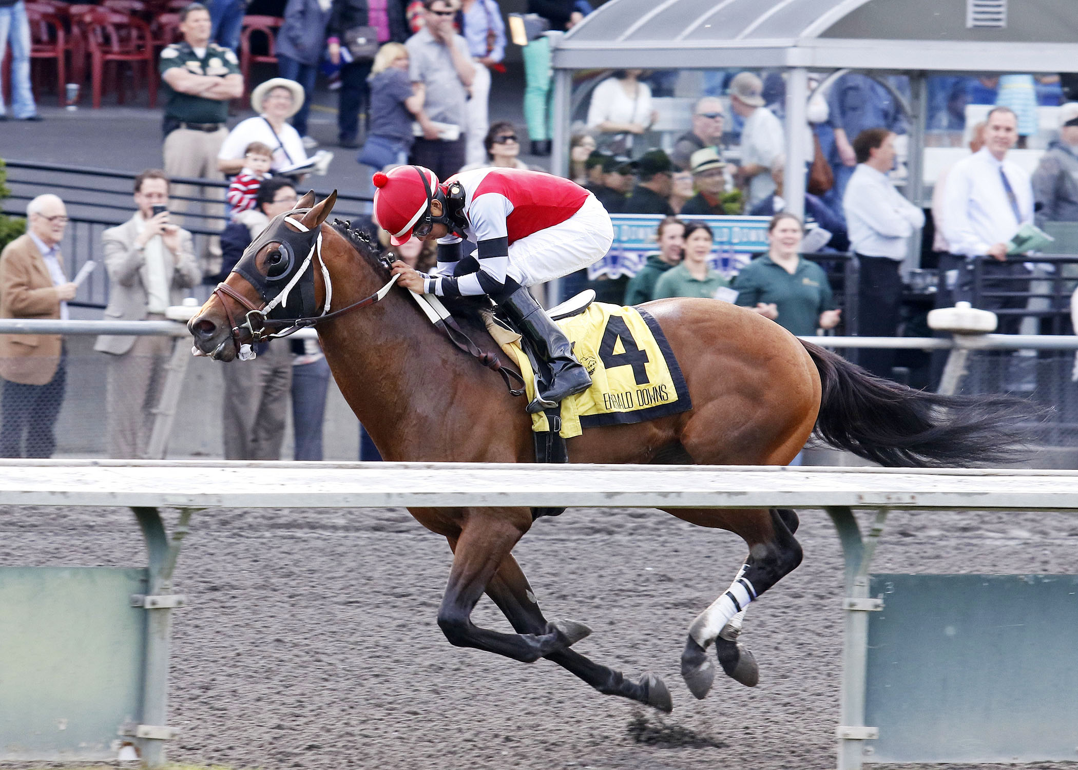 Fleet Eagle wins the Governor's Handicap