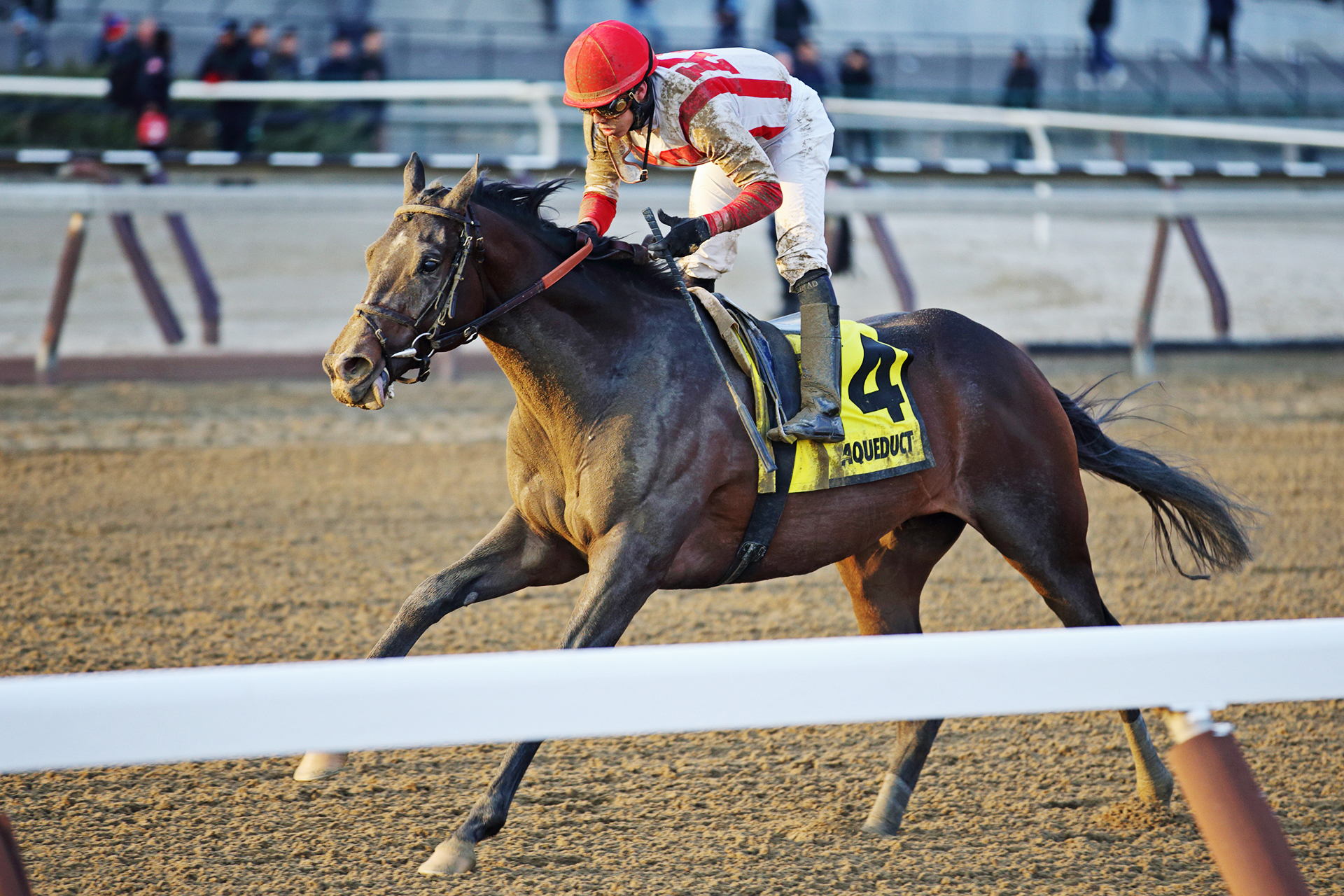 Flexibility wins the Jerome Stakes
