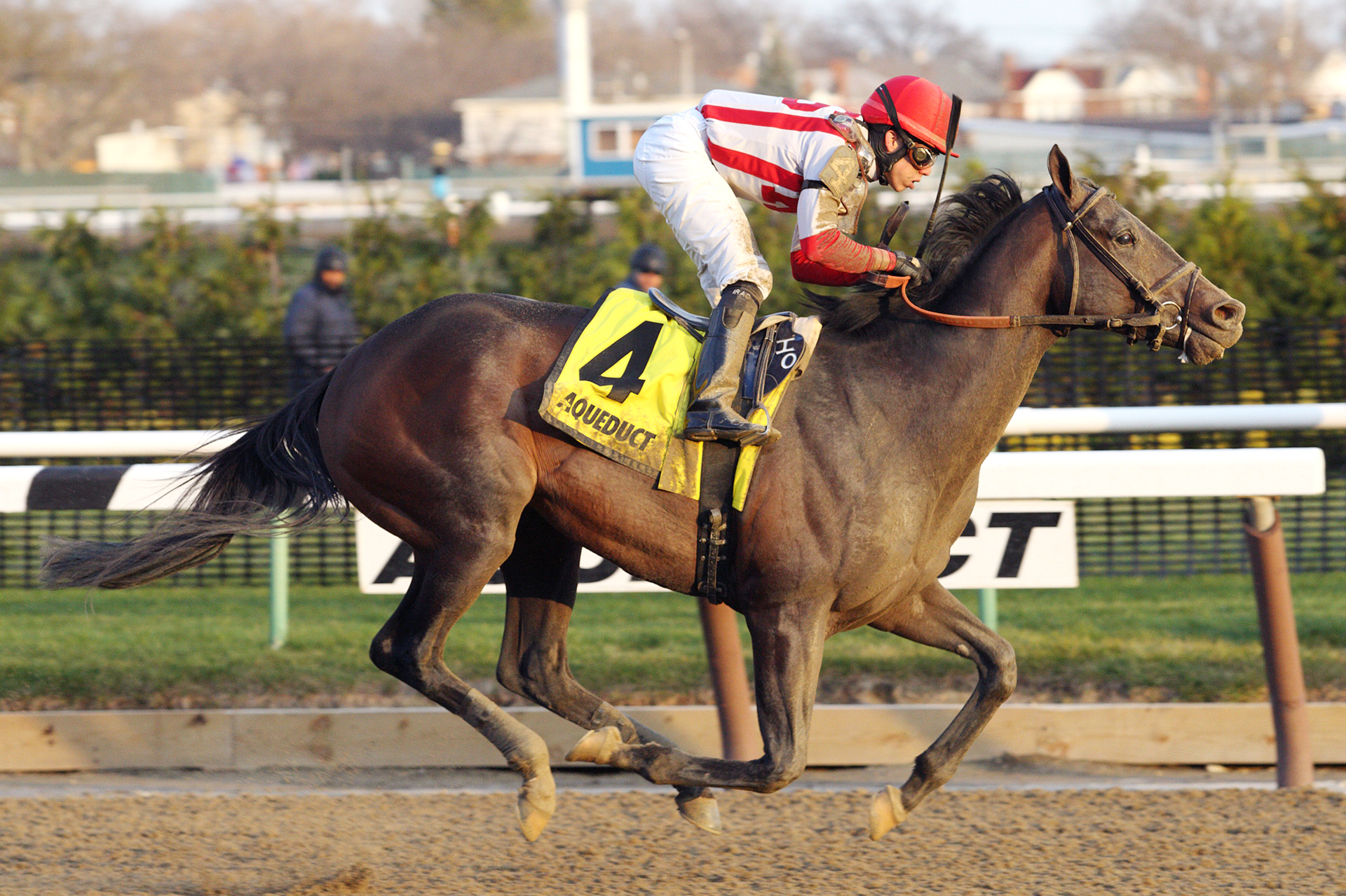 Flexibility wins the Jerome Stakes