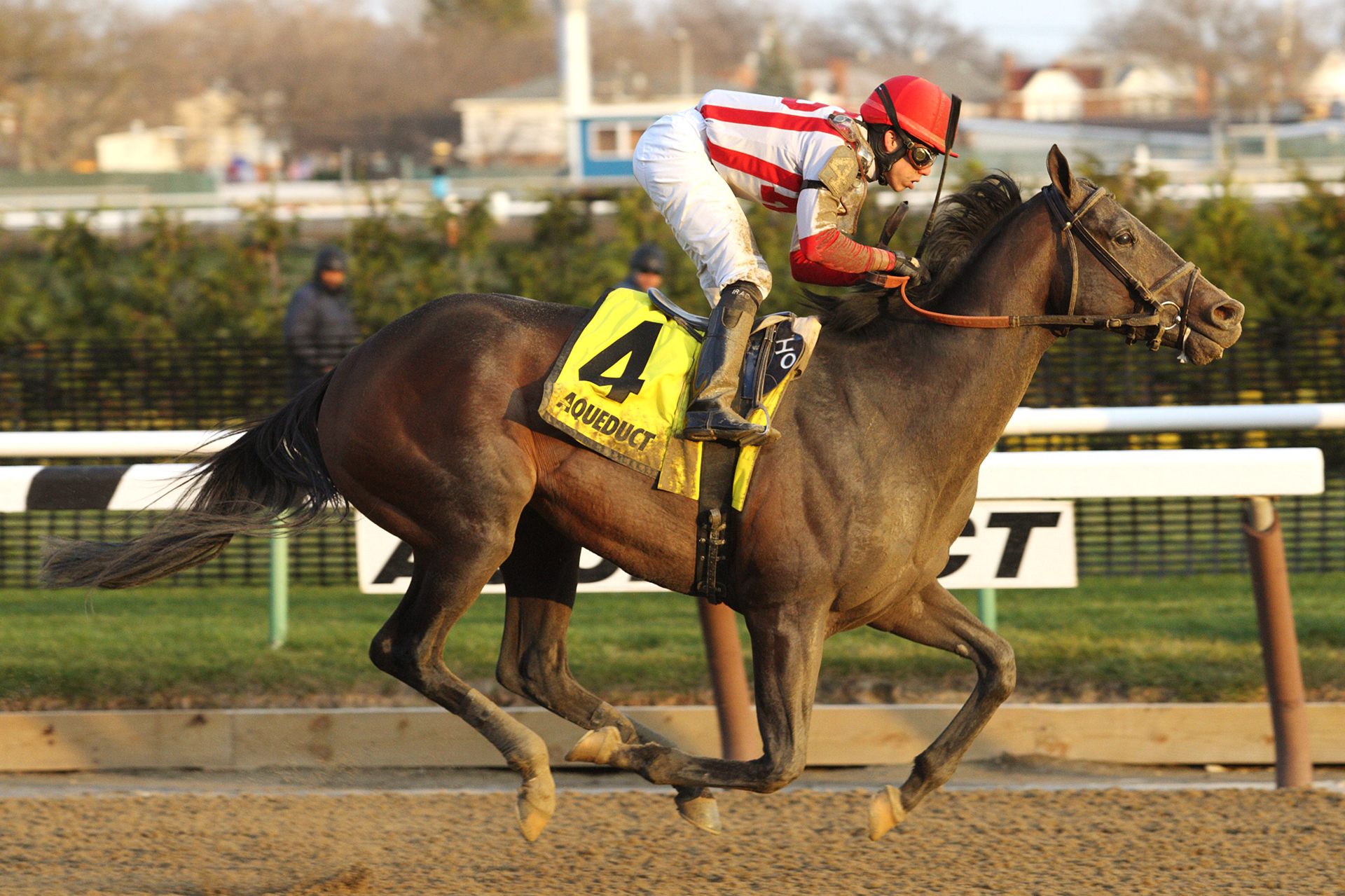 Flexibility wins the Jerome Stakes