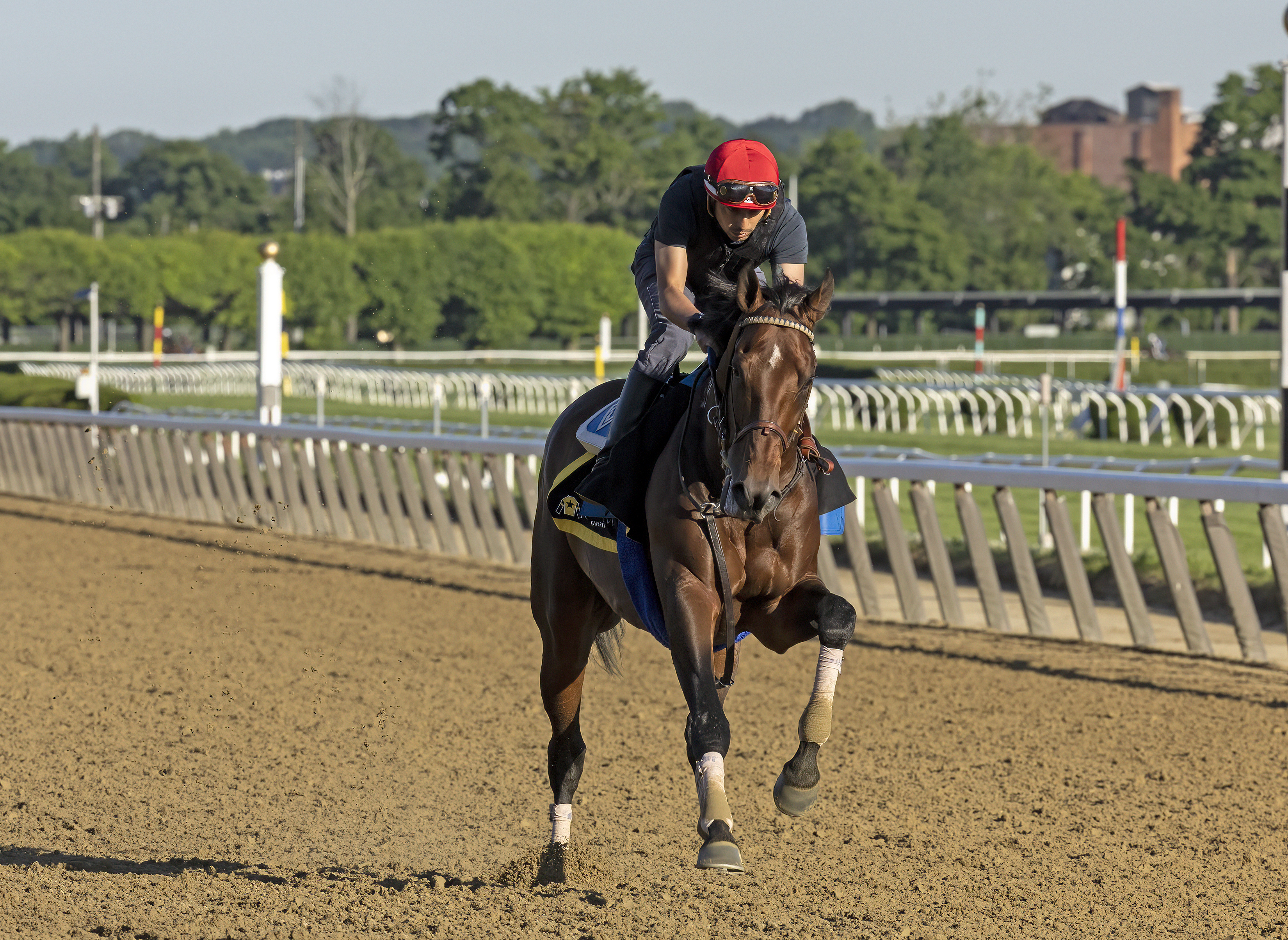Flightline at Belmont June 10 2022