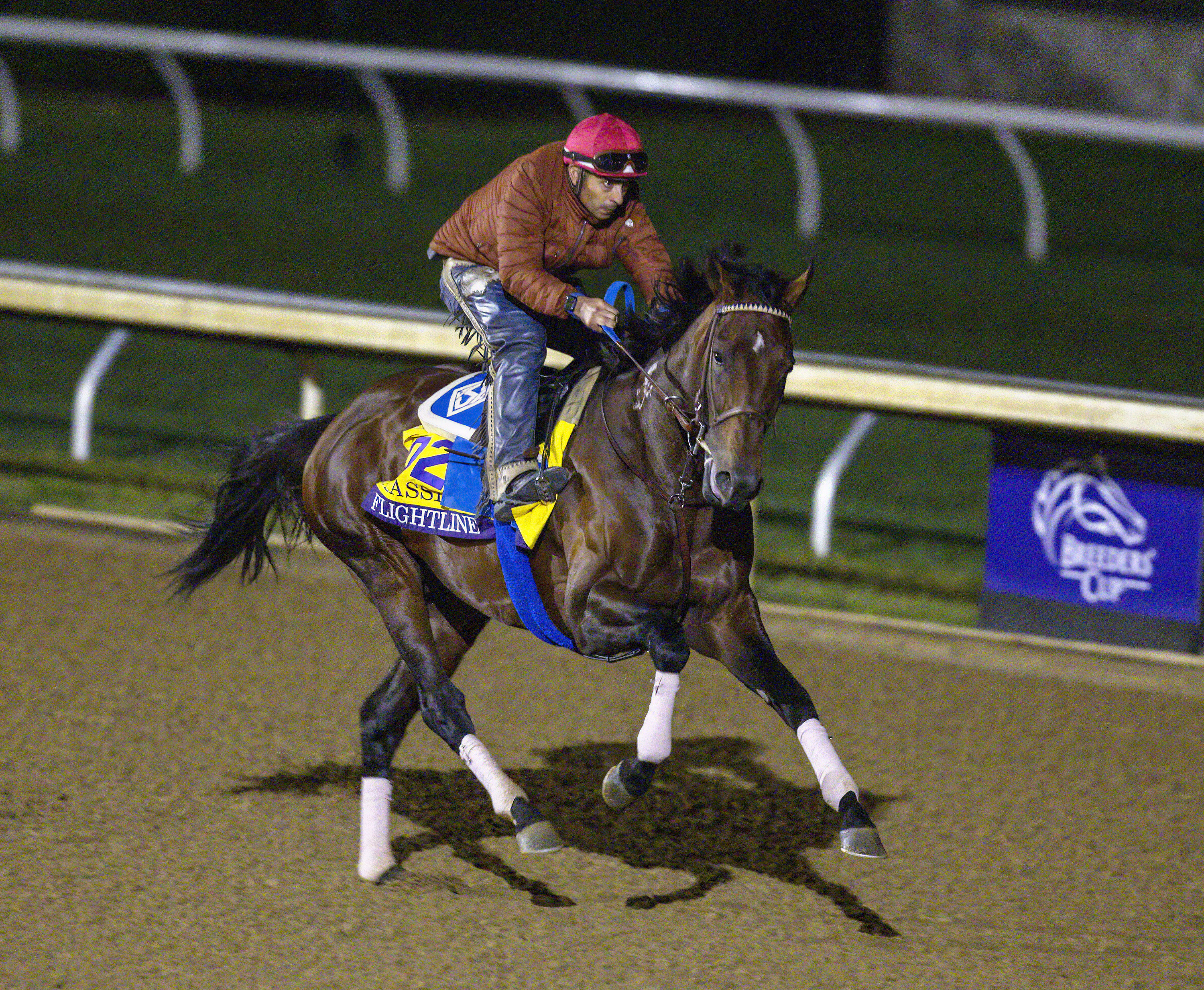 Flightline - Keeneland BC22