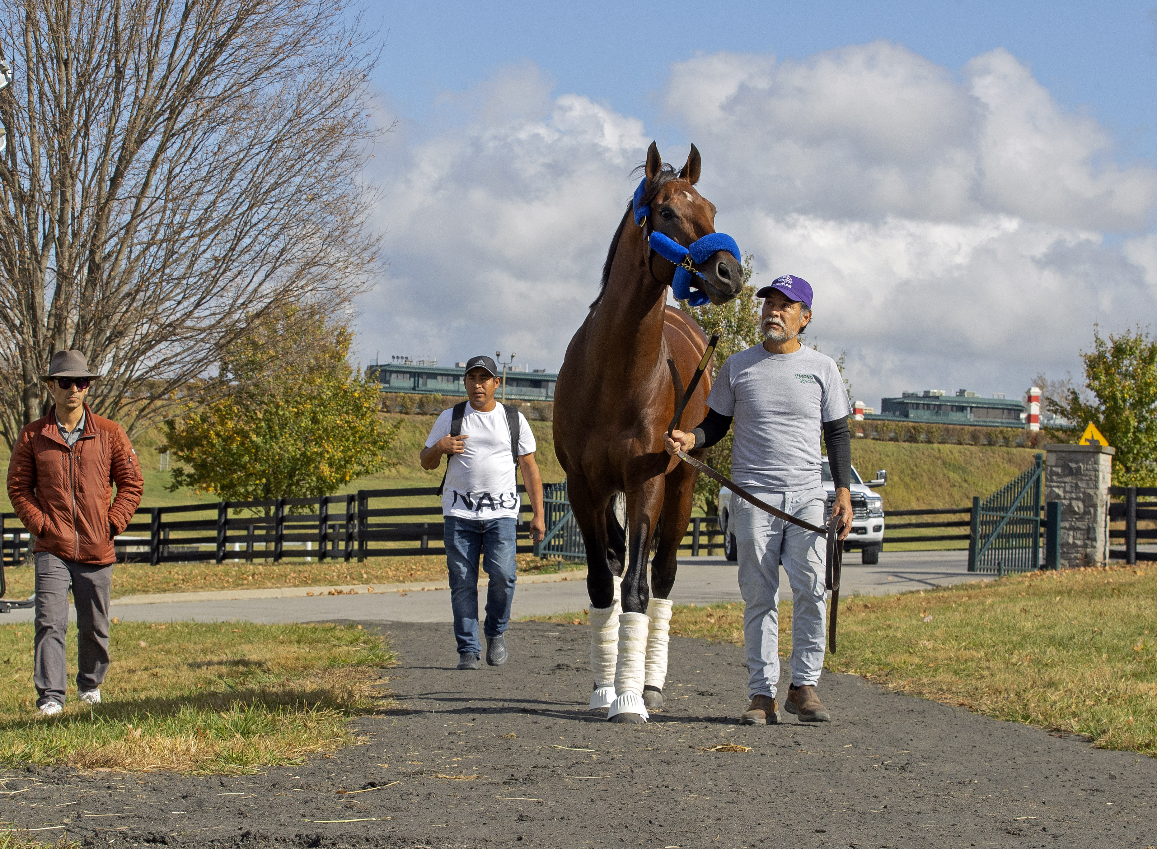 Flightline - Keeneland Nov. 6