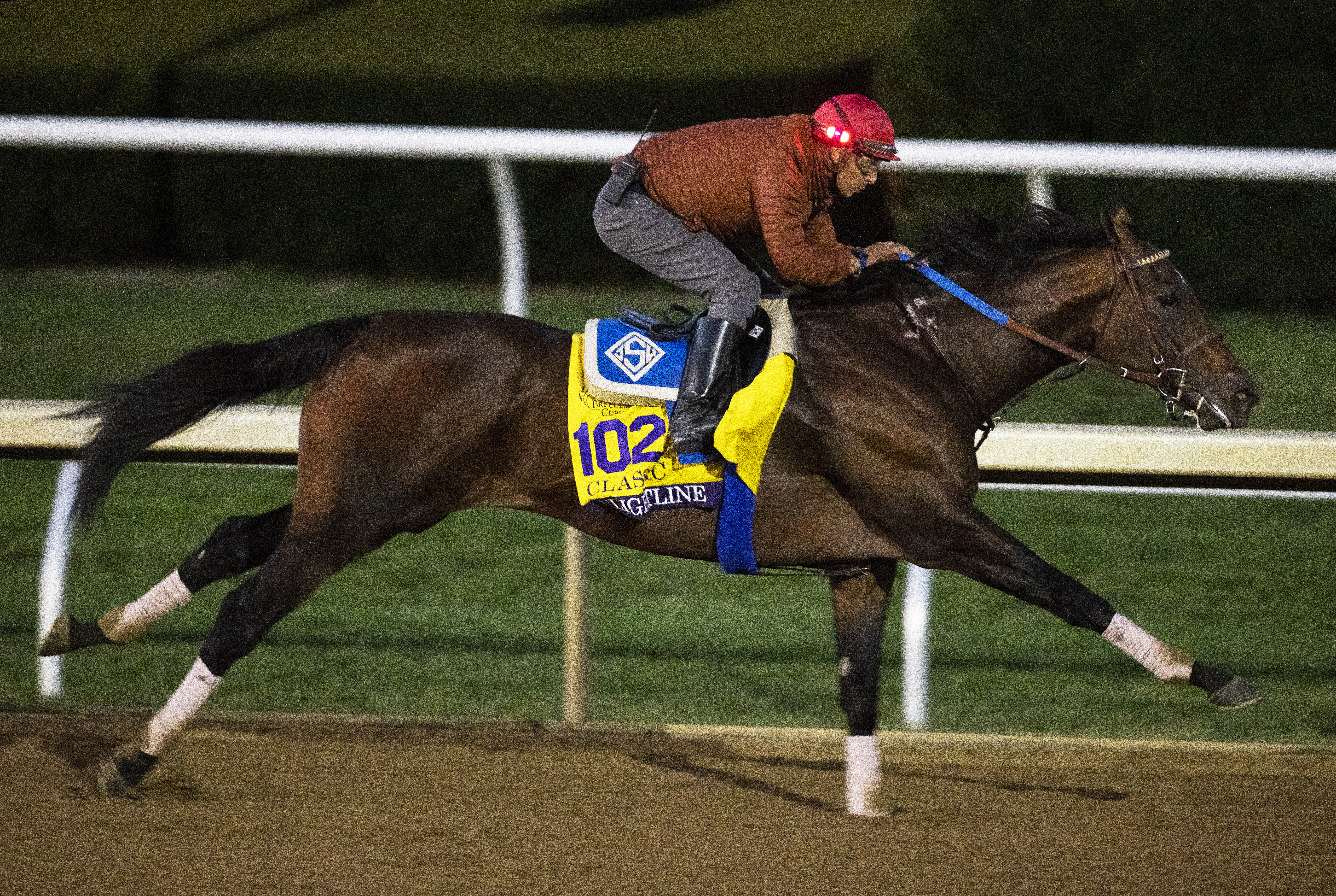 Flightline - Keeneland Workout