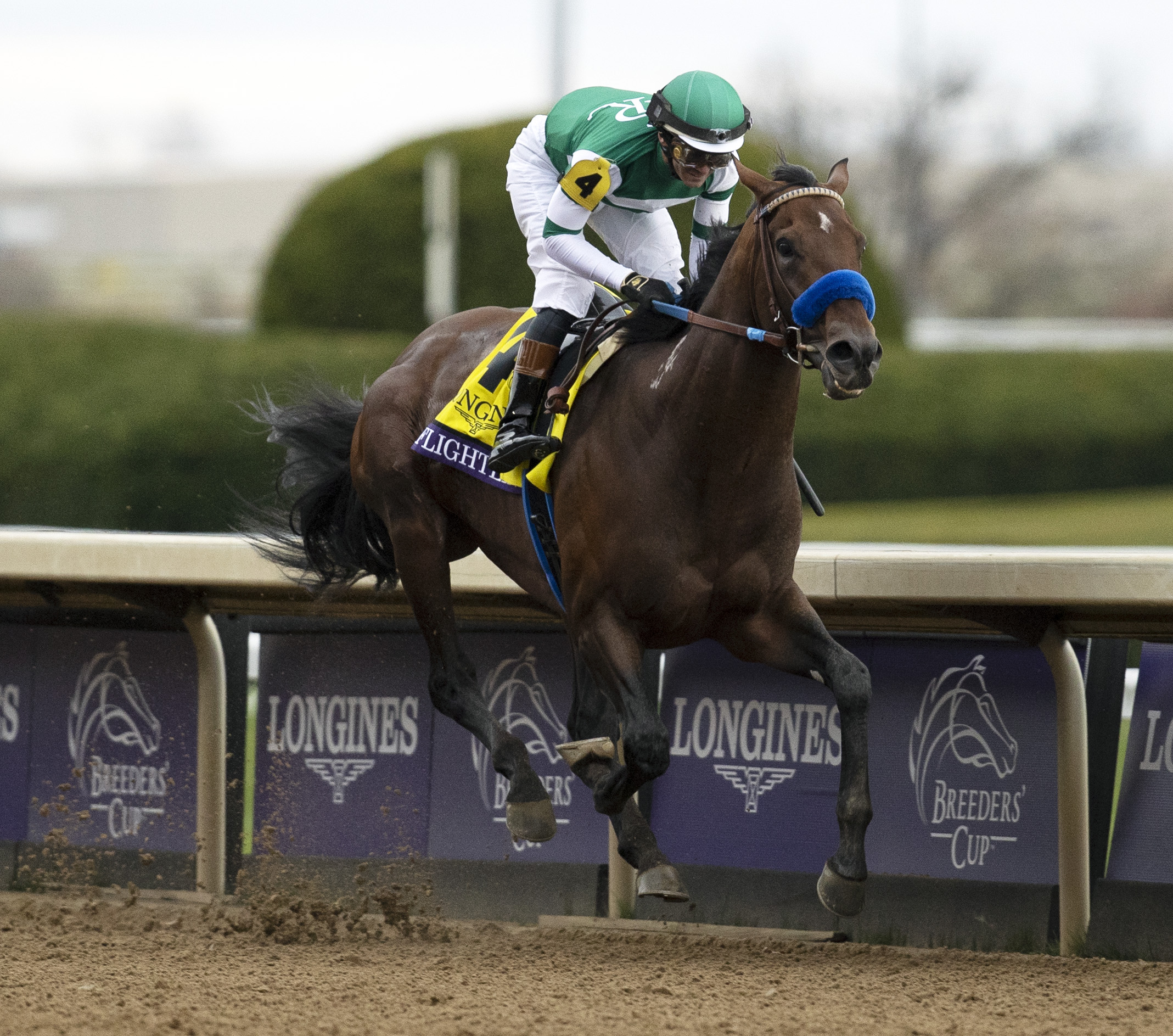 Flightline takes the BC Classic Nov 5 2022