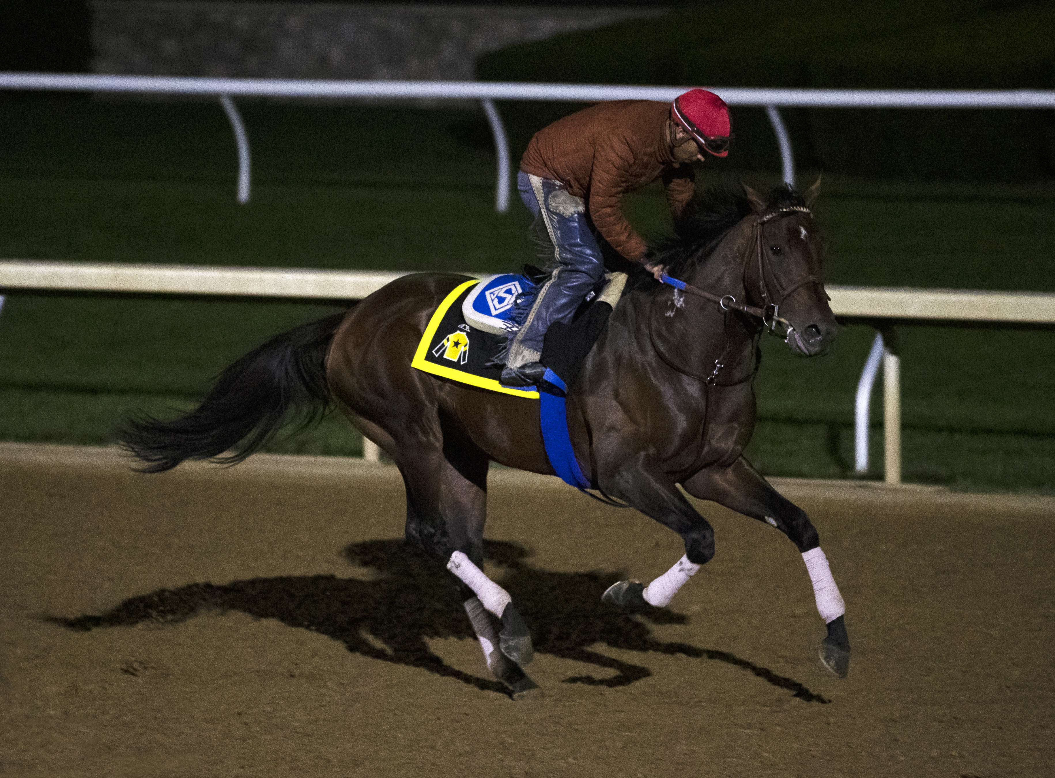 Flightline trains at Keeneland Oct 25 2022
