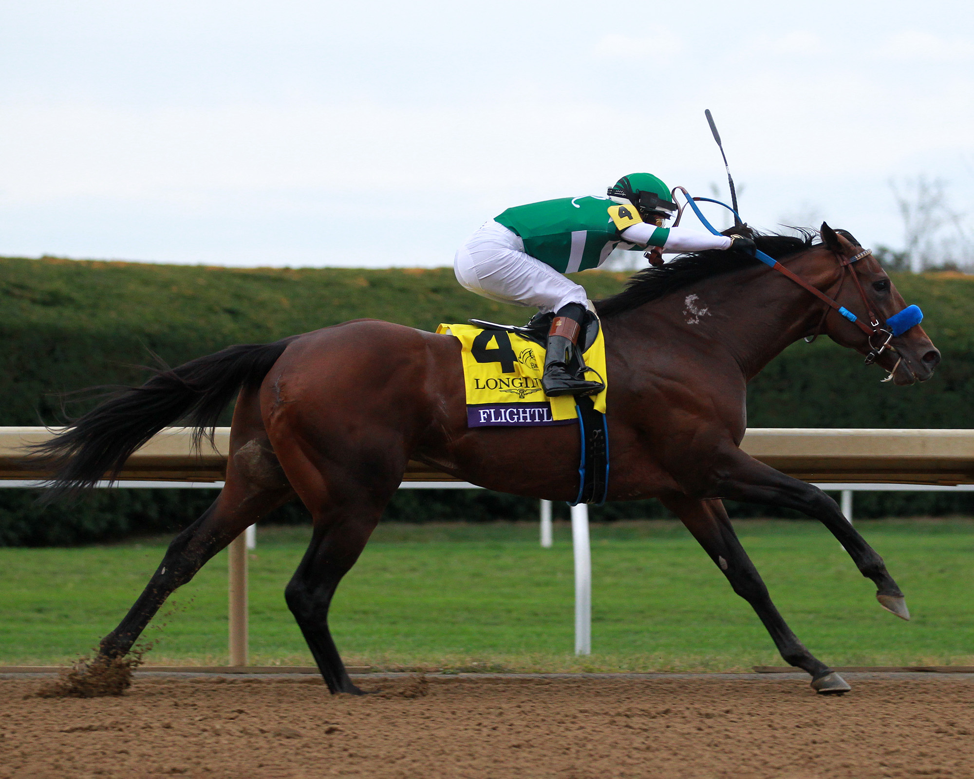A 2.5 percent interest in Flightline sells for $4.6 million at Keeneland