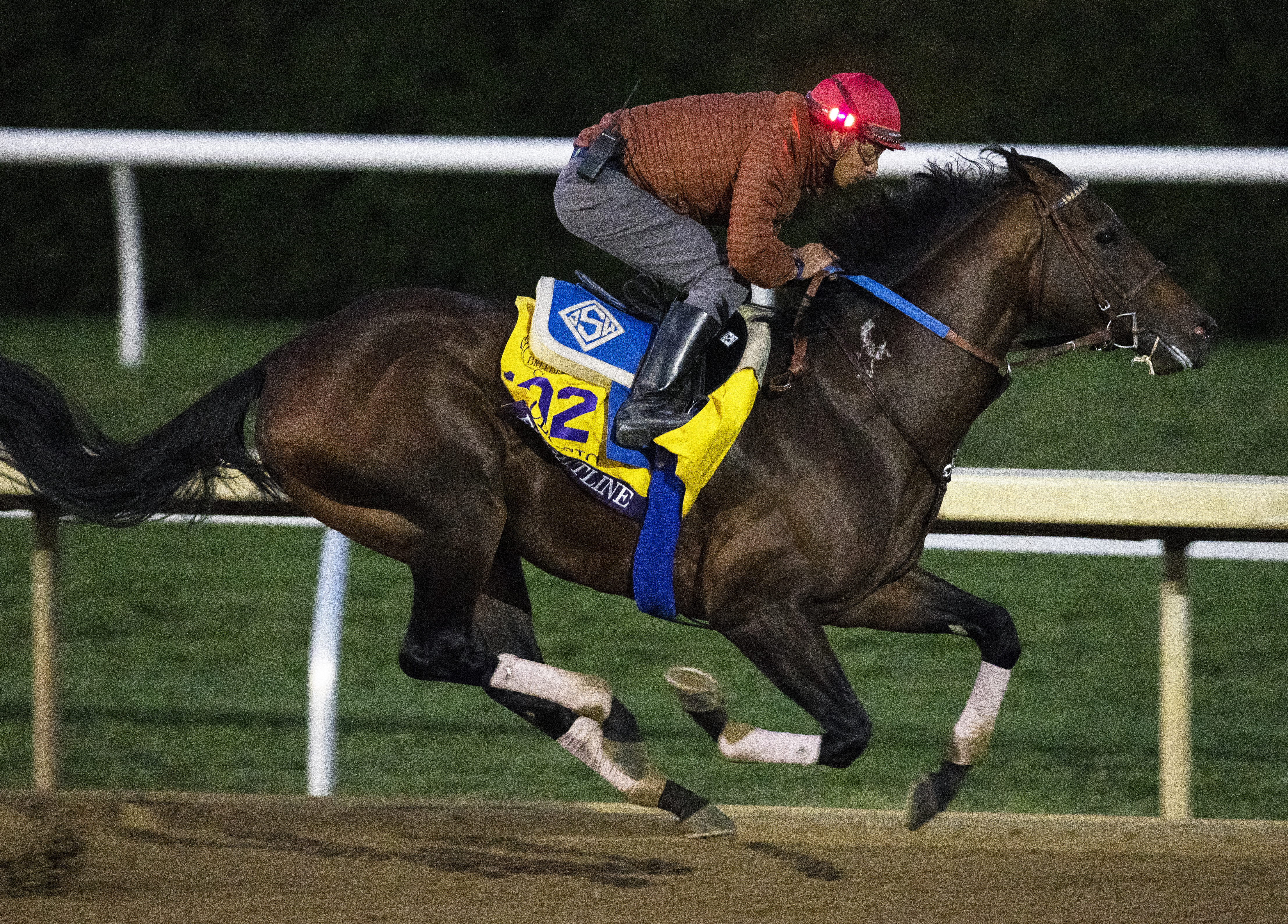 Flightline works at Keeneland Oct 29 2022