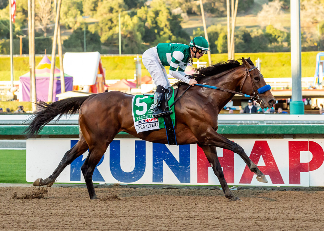Flightline wins the 2021 Malibu Stakes at Santa Anita Park