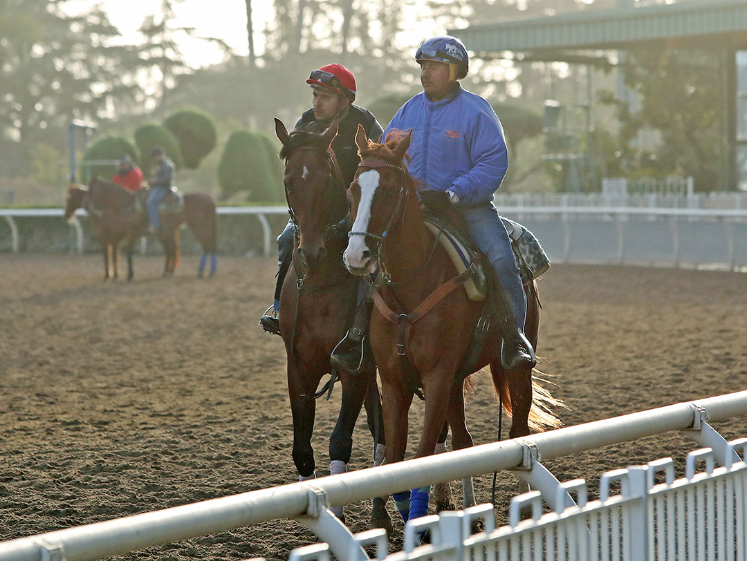 Flightline at Santa Anita Park on March 5