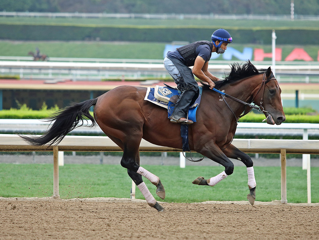 Flightline trains at Santa Anita on May 31