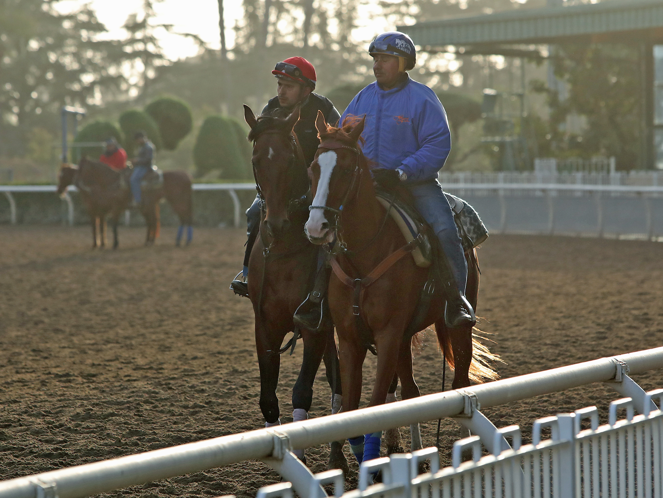 Flightline - Santa Anita