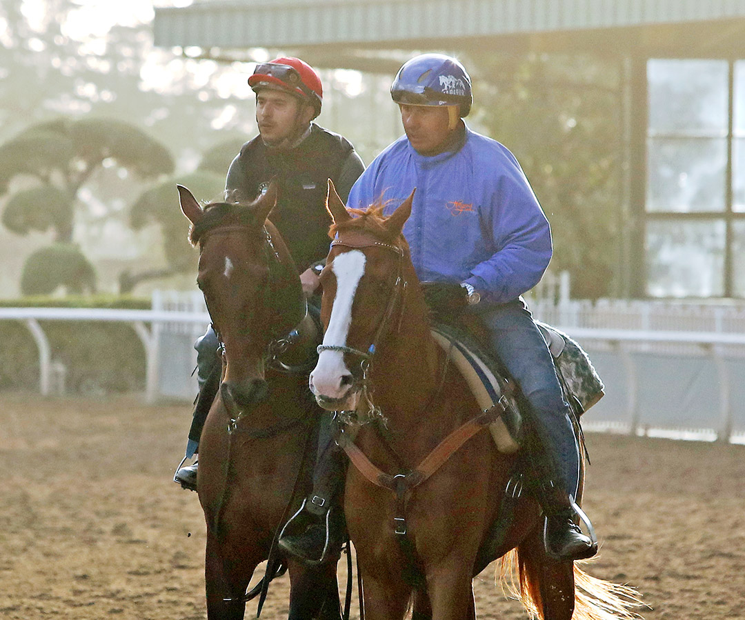 Flightline at Santa Anita Park on March 5