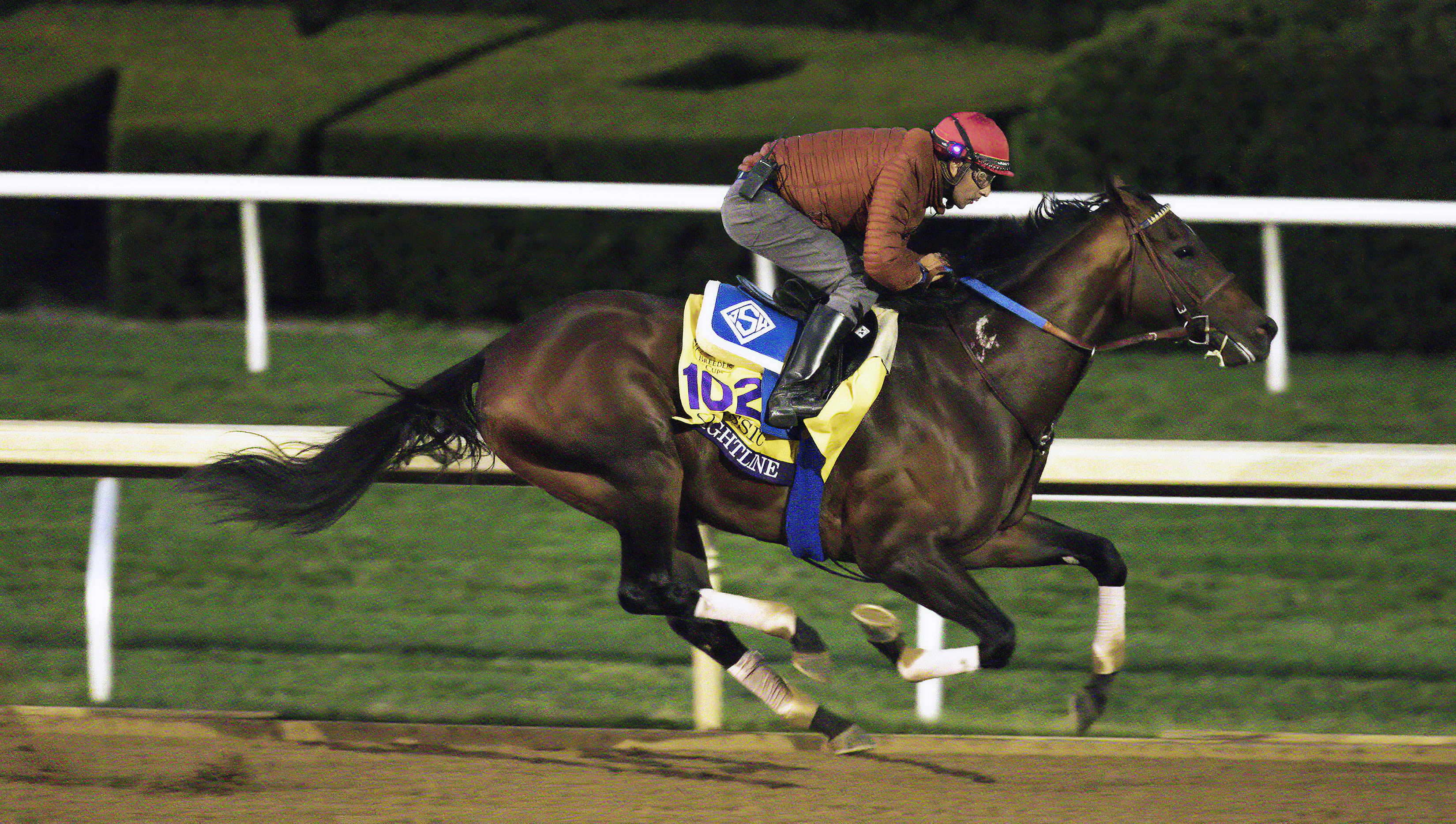 Flightline works at Keeneland 10-29-22