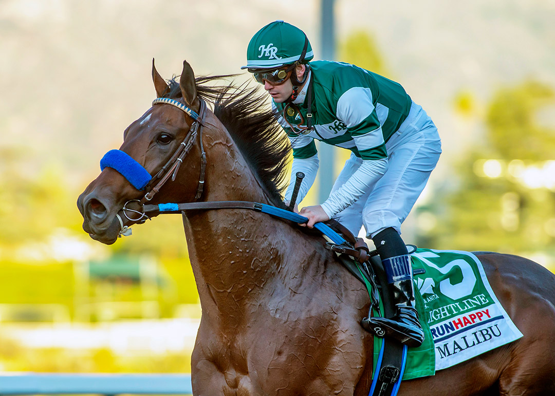 Flightline after winning the 2021 Malibu Stakes at Santa Anita