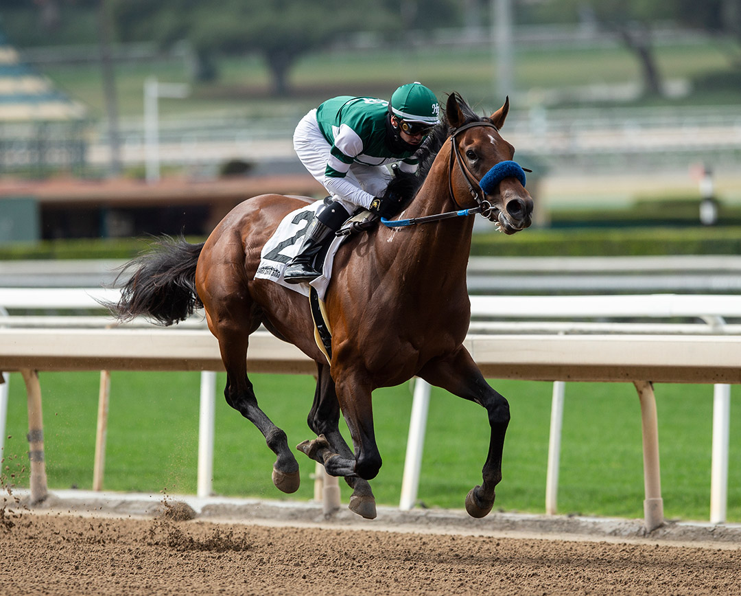 Flightline wins an April 24 maiden race at Santa Anita