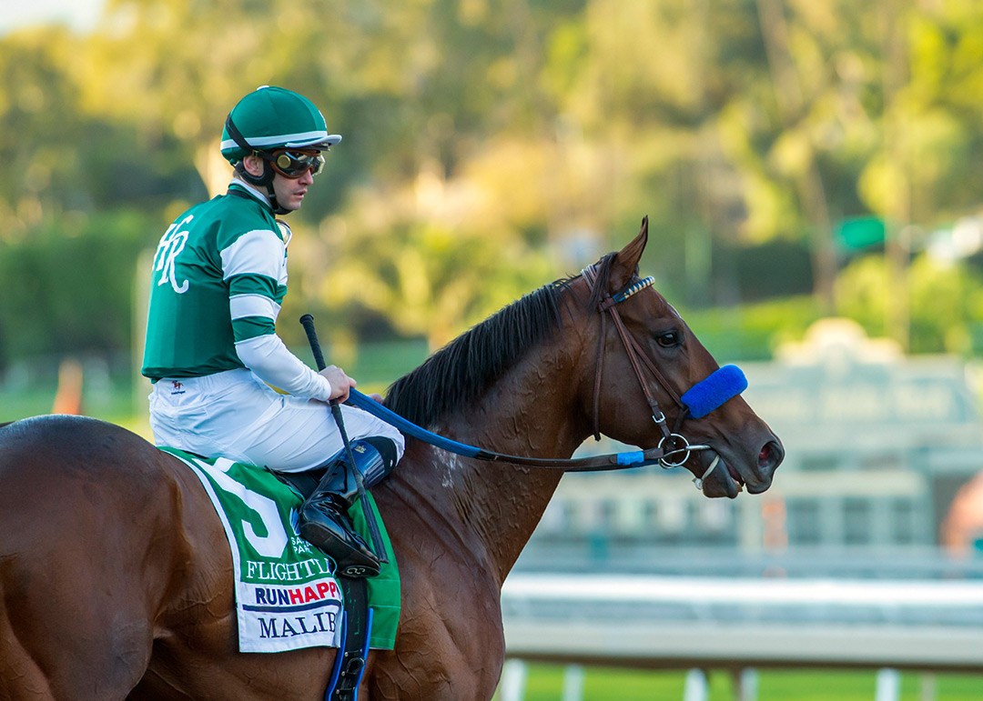 Flightline at the 2021 Malibu Stakes at Santa Anita Park