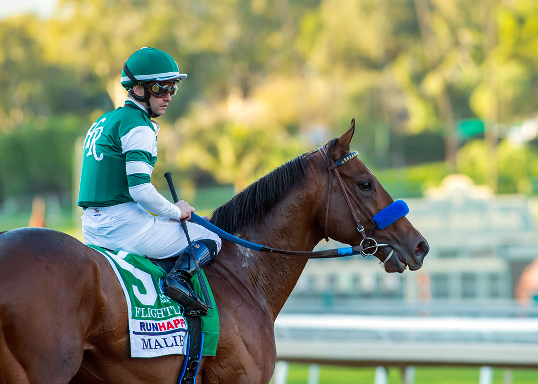 Flightline at the Malibu Stakes at Santa Anita Park