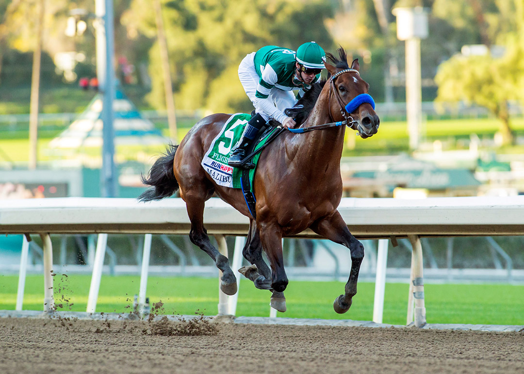 Flightline wins the 2021 Malibu Stakes at Santa Anita