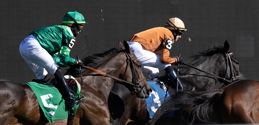 Flighty Lady (5) and Caen Na Coille (3) maneuver for position in an April allowance at Aqueduct