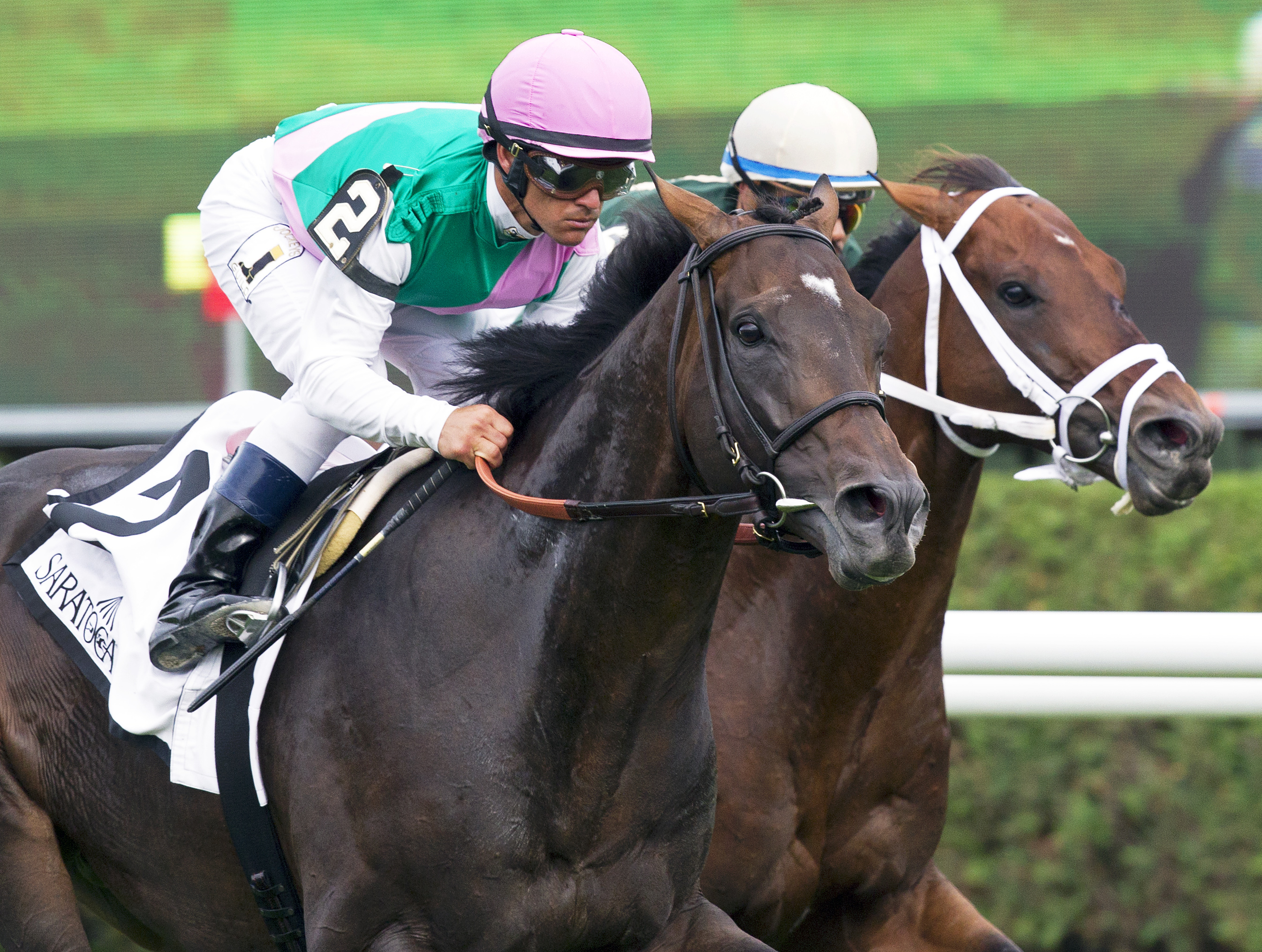 Flintshire 7-30-2016