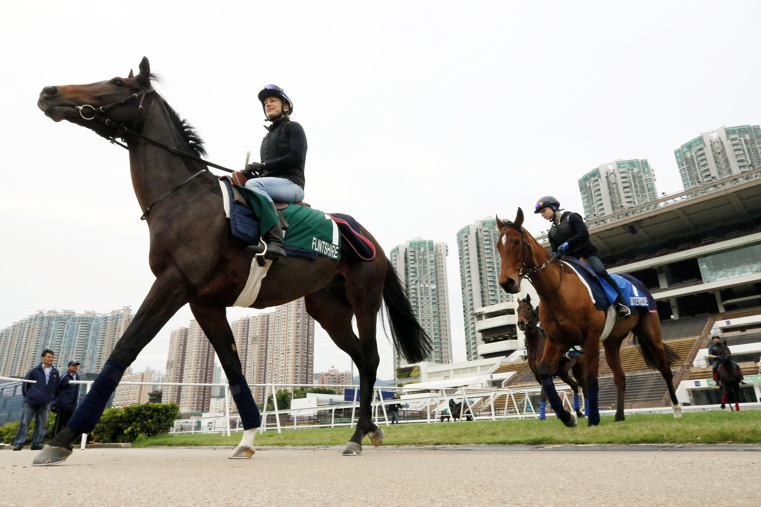 Flintshire at Sha Tin Racecourse in December 2015