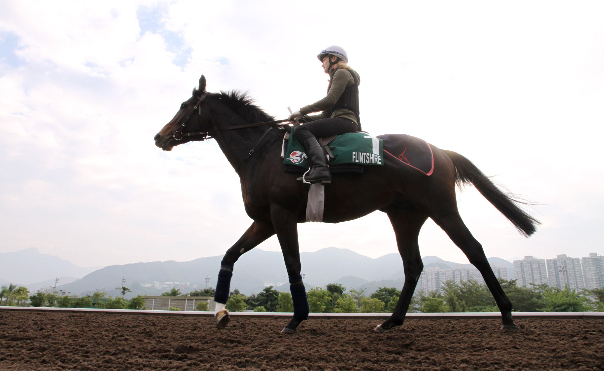 Flintshire at Sha Tin Racecourse