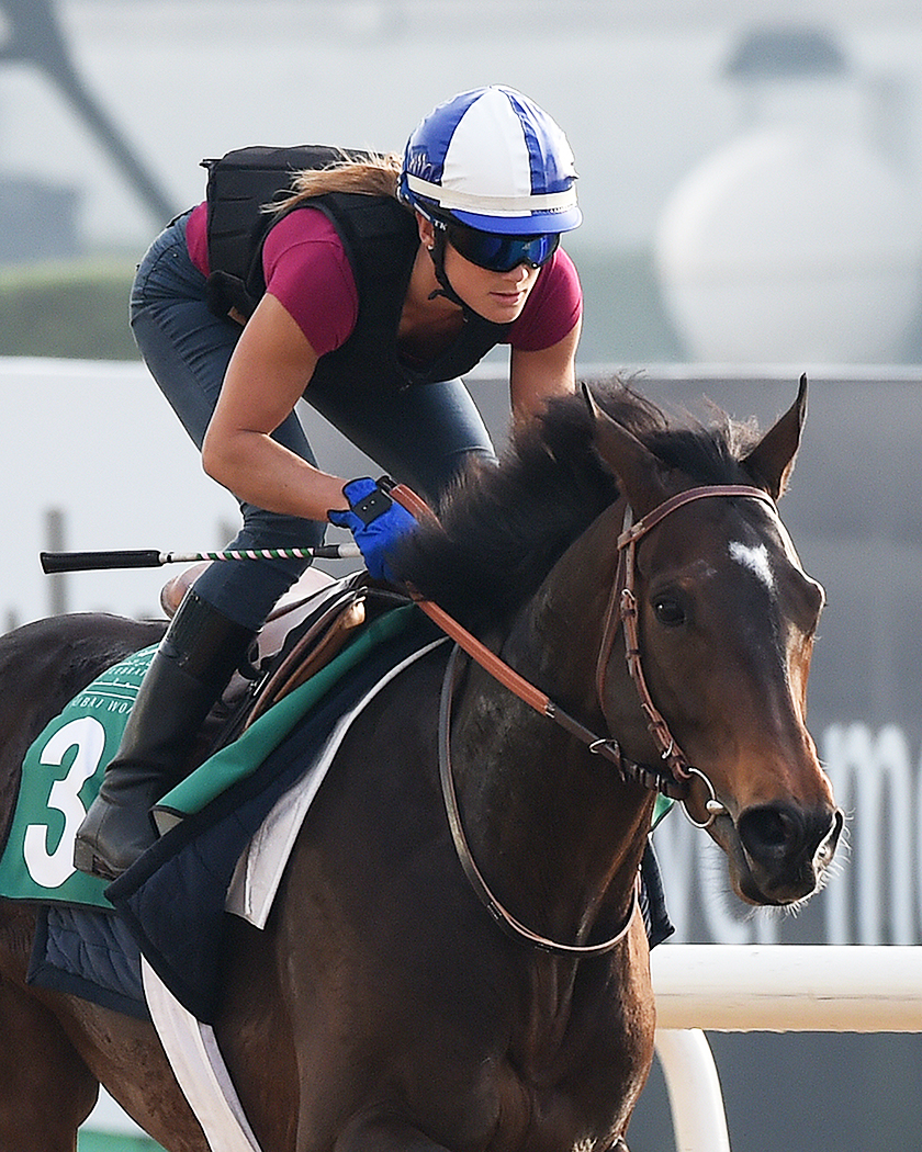 Flintshire trains at Meydan in March