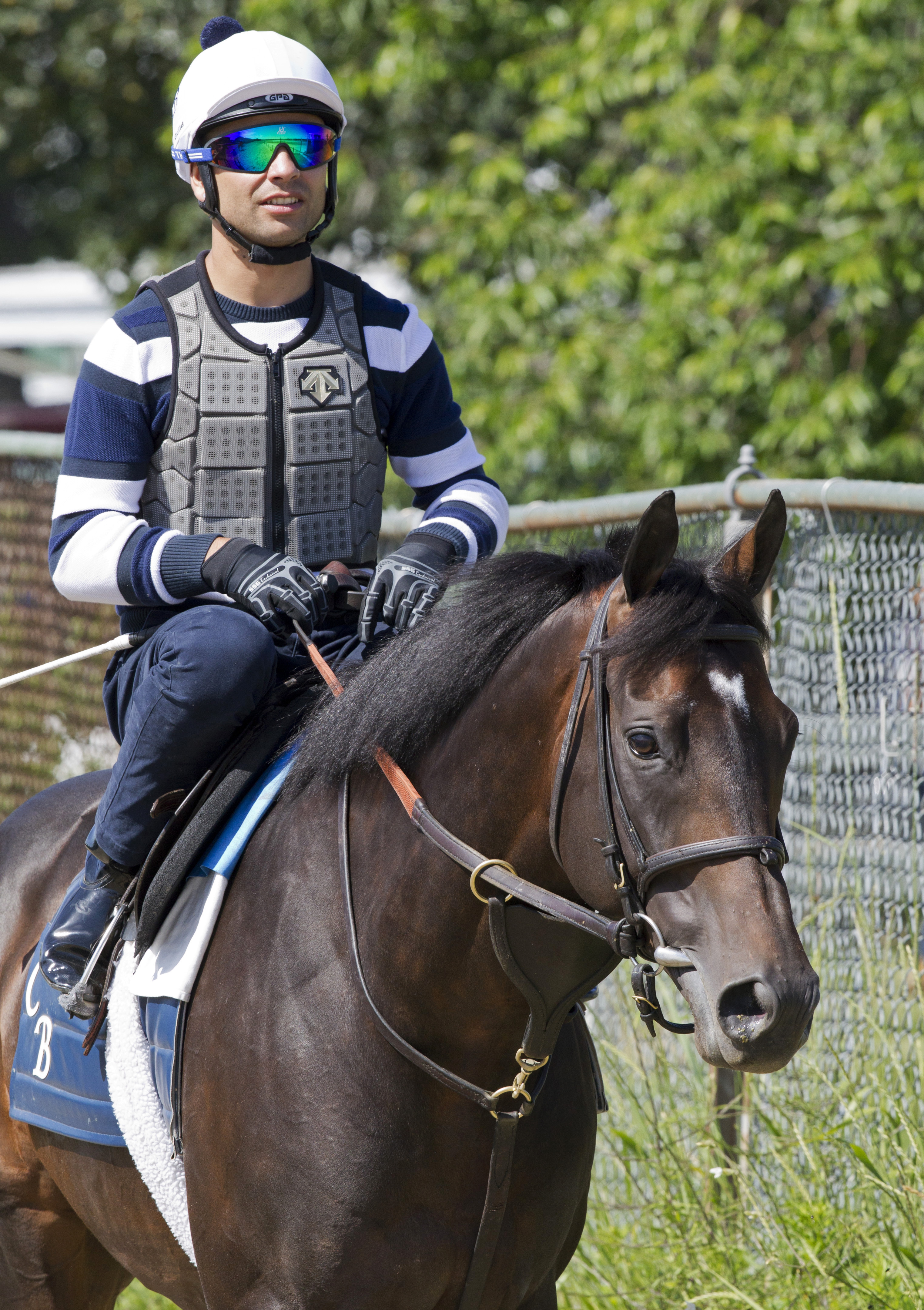 Flintshire at Belmont on June 8