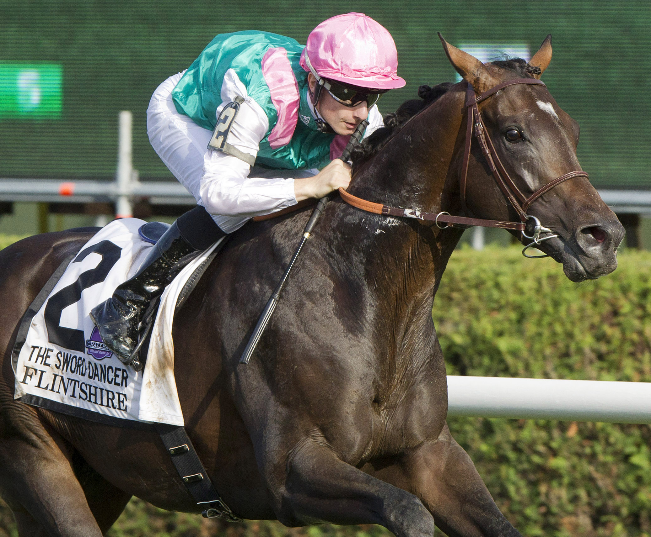Flintshire wins the 2015 Sword Dancer