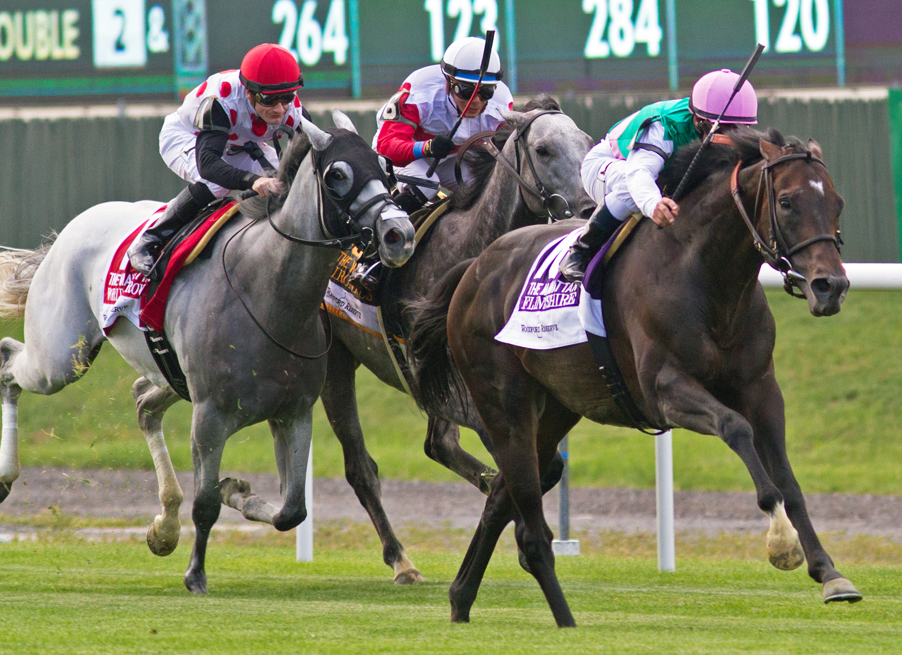 Flintshire wins the Manhattan