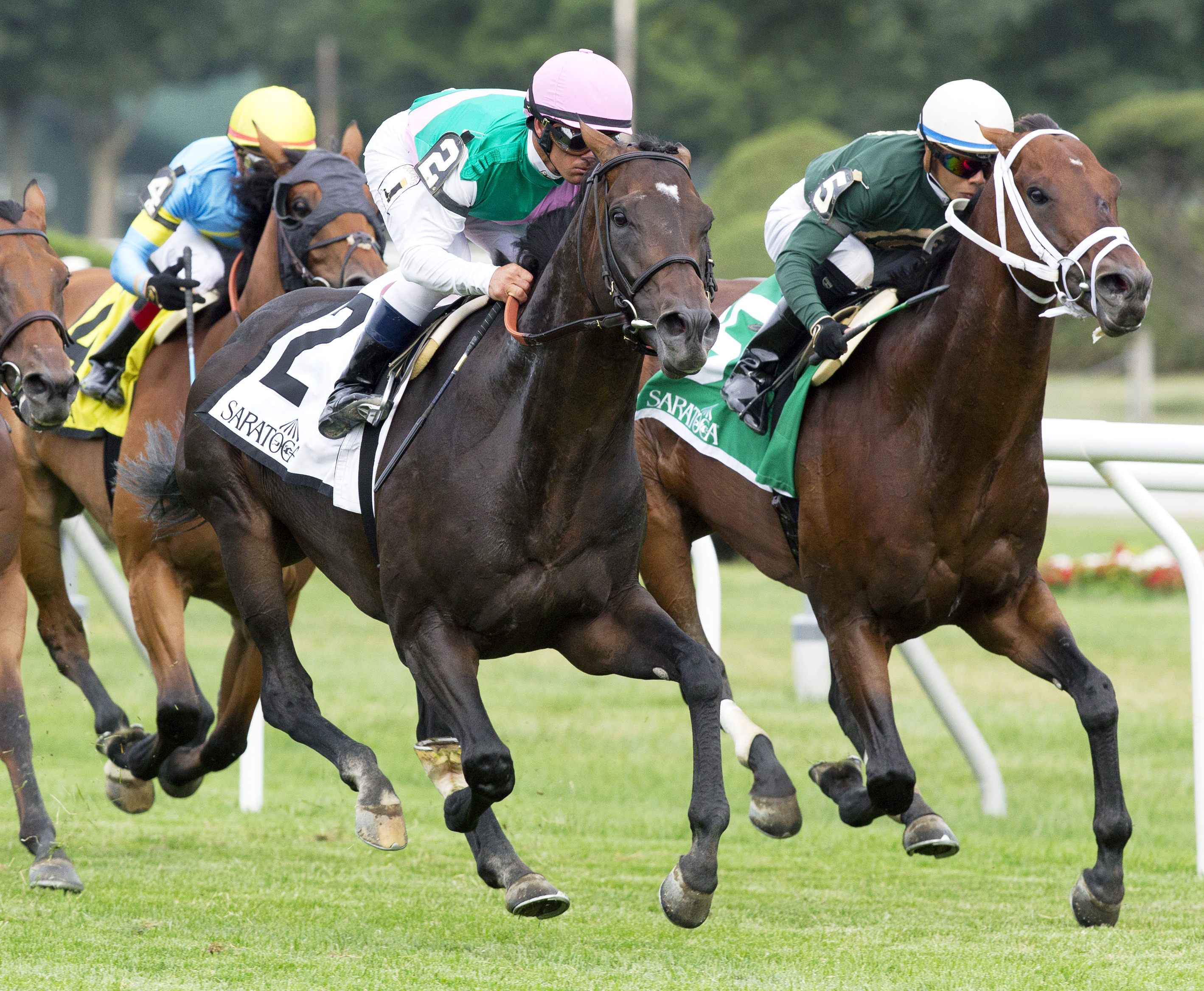 Flintshire wins the Bowling Green
