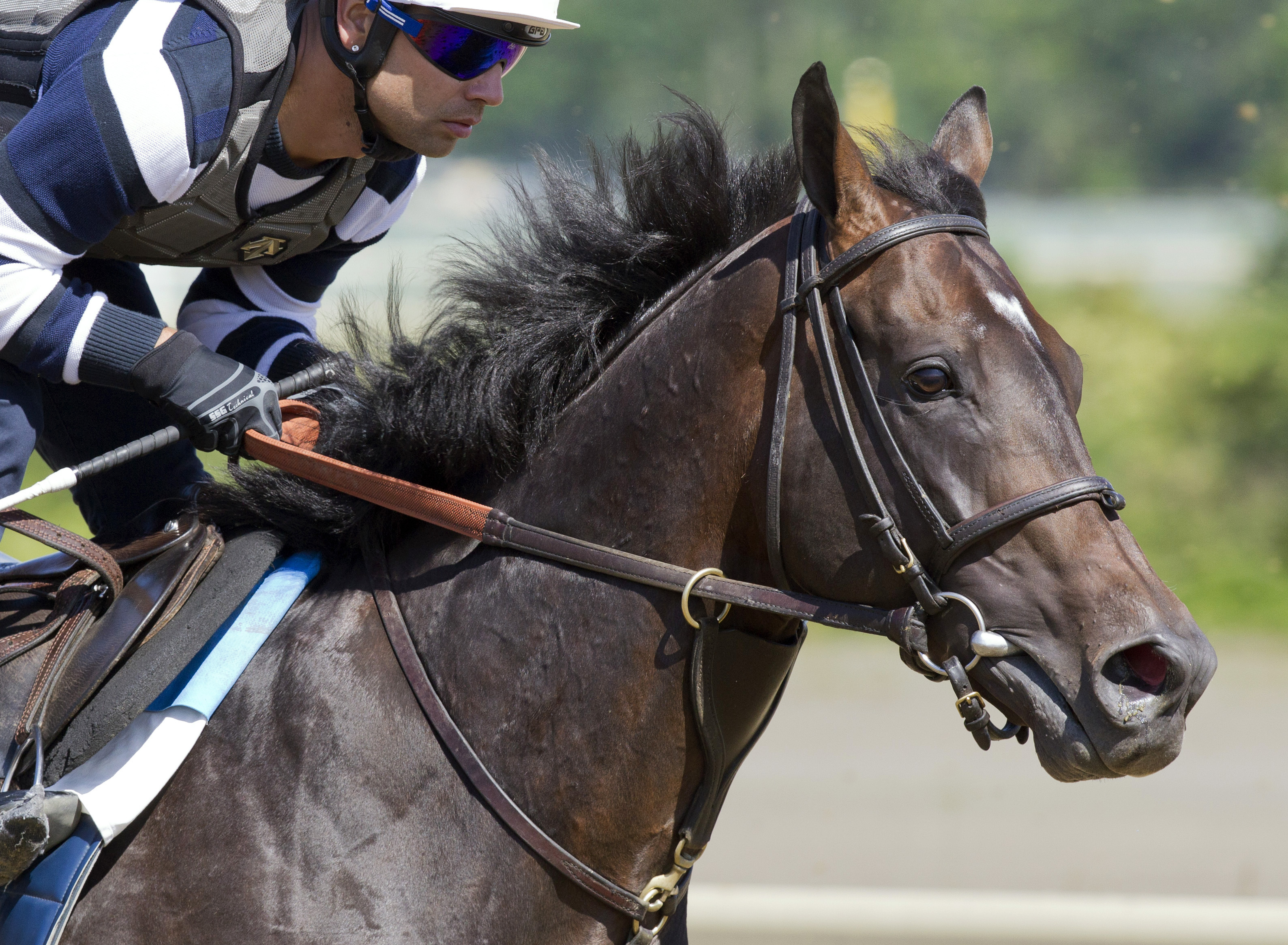Flintshire trains at Belmont on June 8