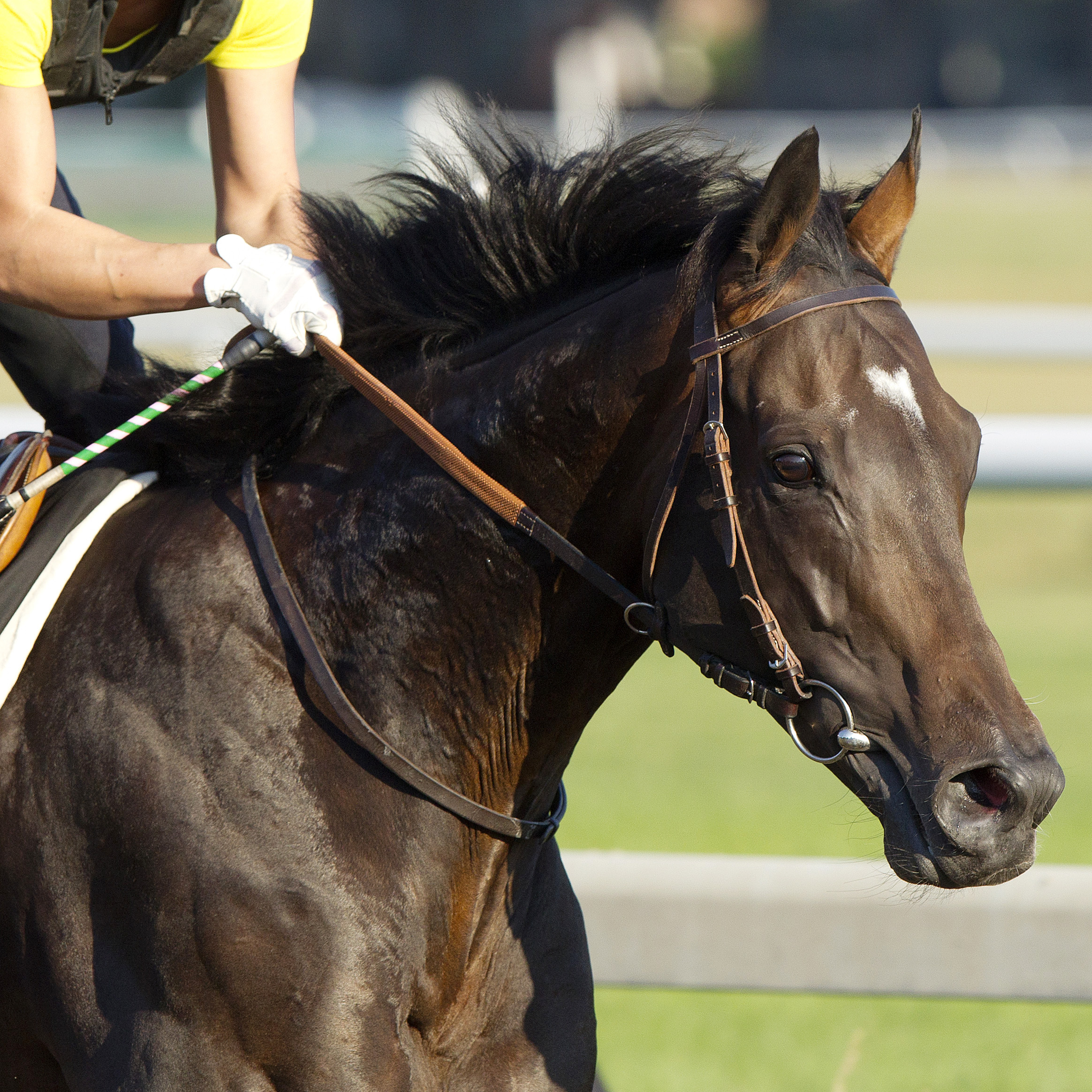 Flintshire
