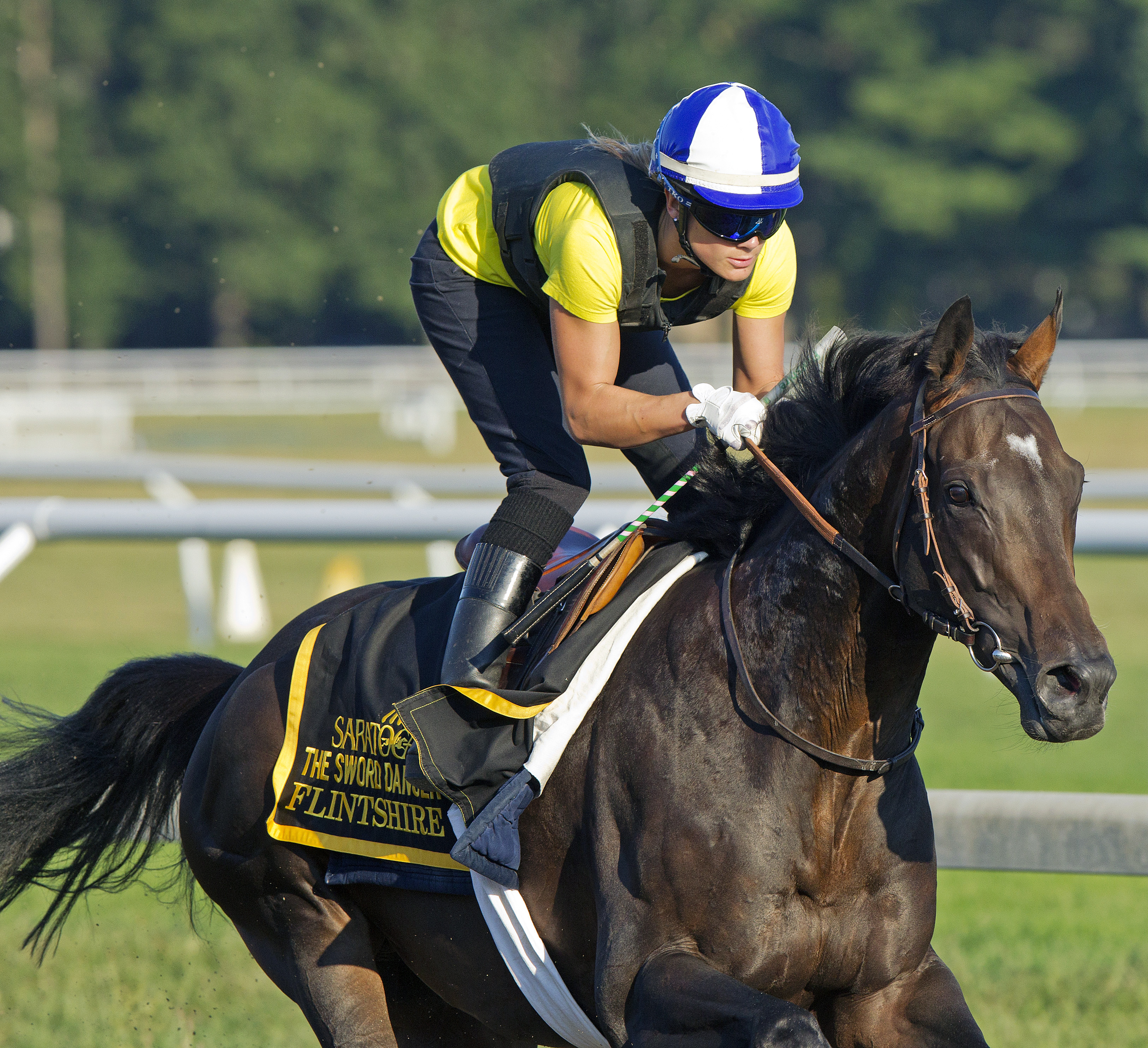 Flintshire trains on Aug. 26